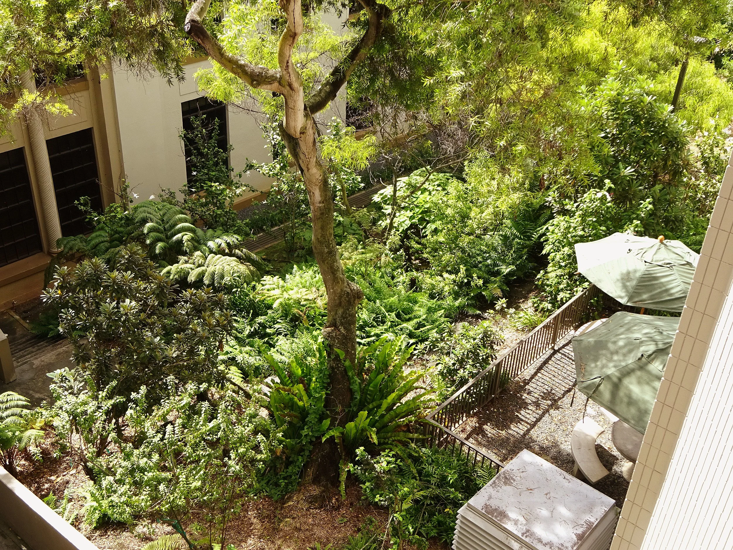shidler-4.jpg
