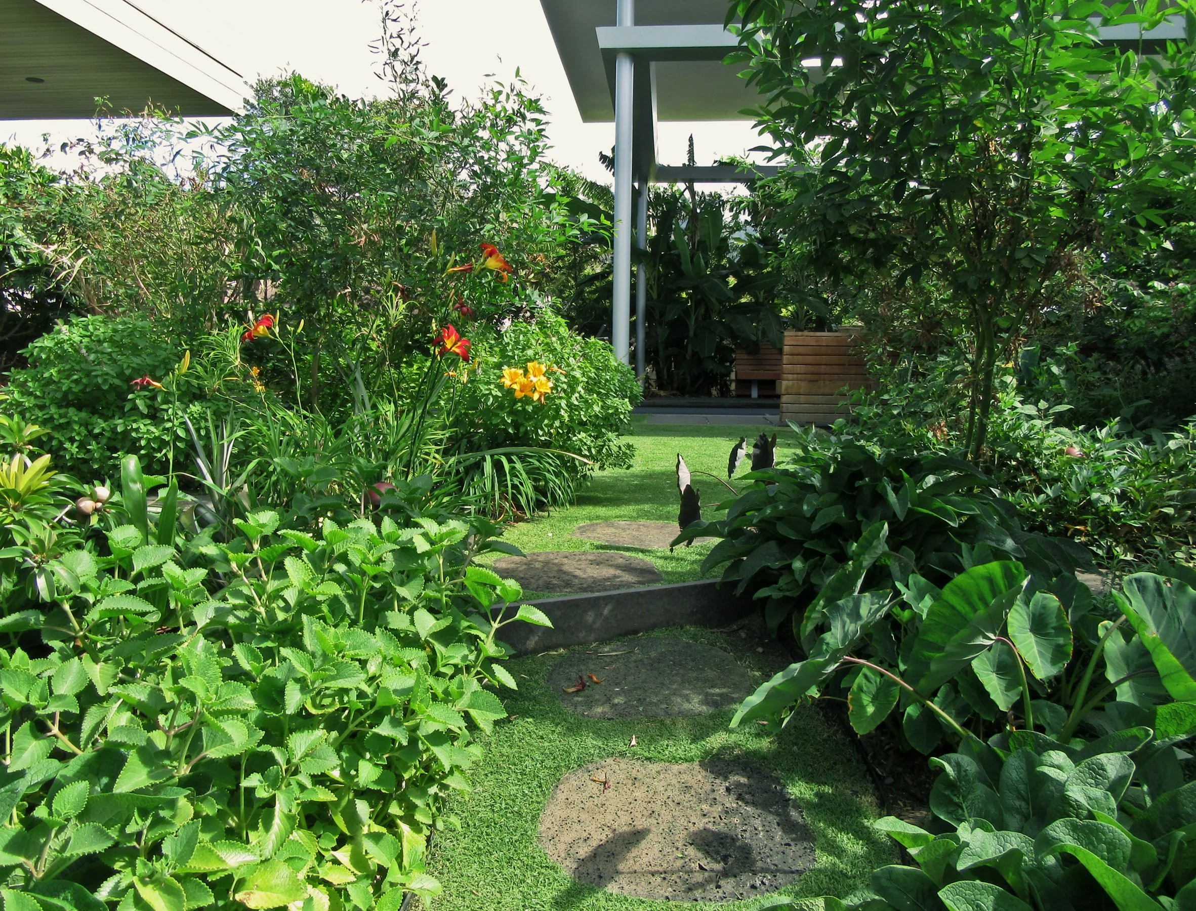 ainahaina-food forest.jpg