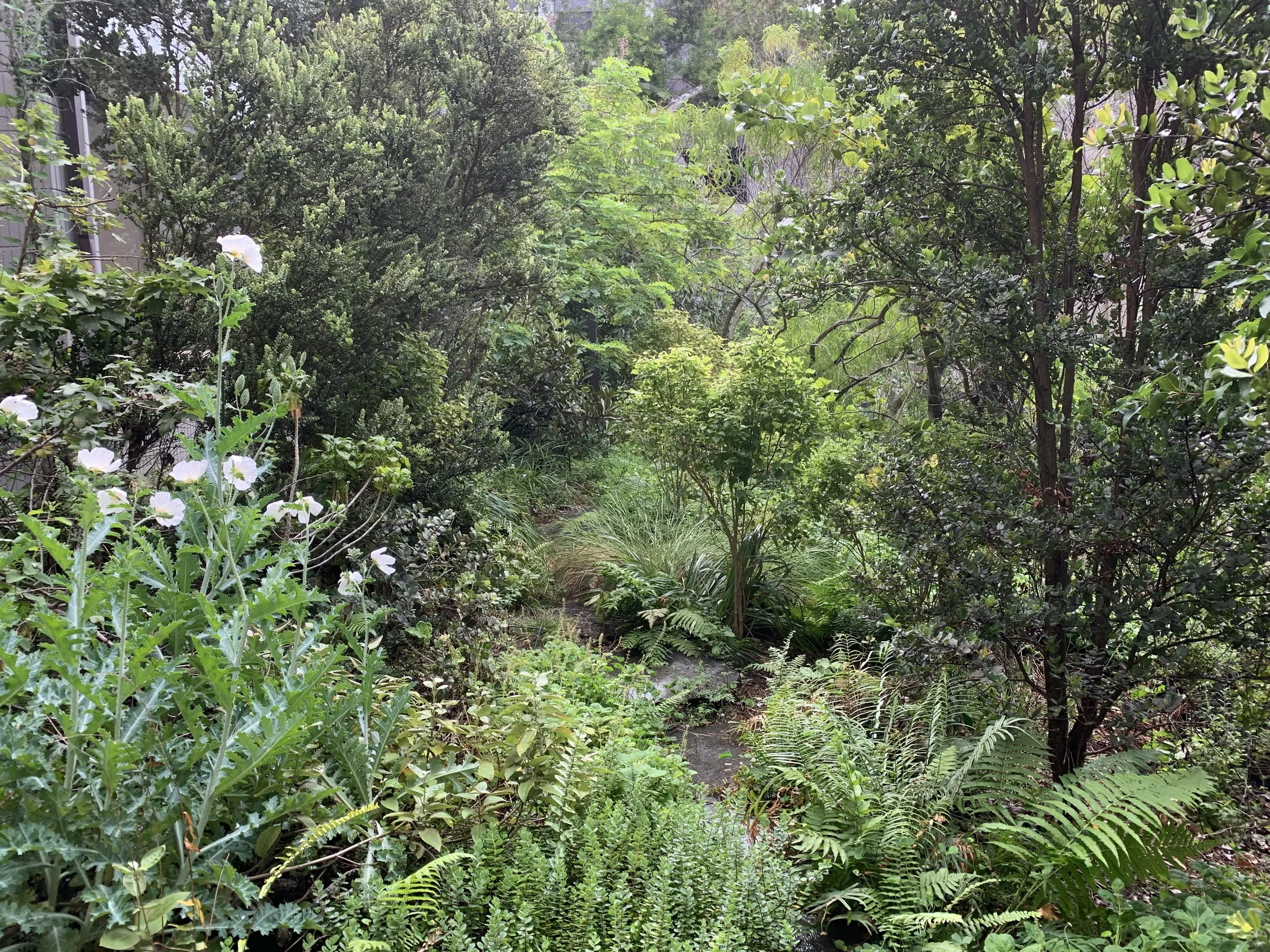 shidler college-3.JPG