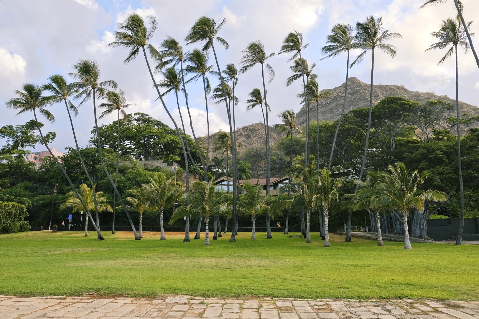Leahi.jpg
