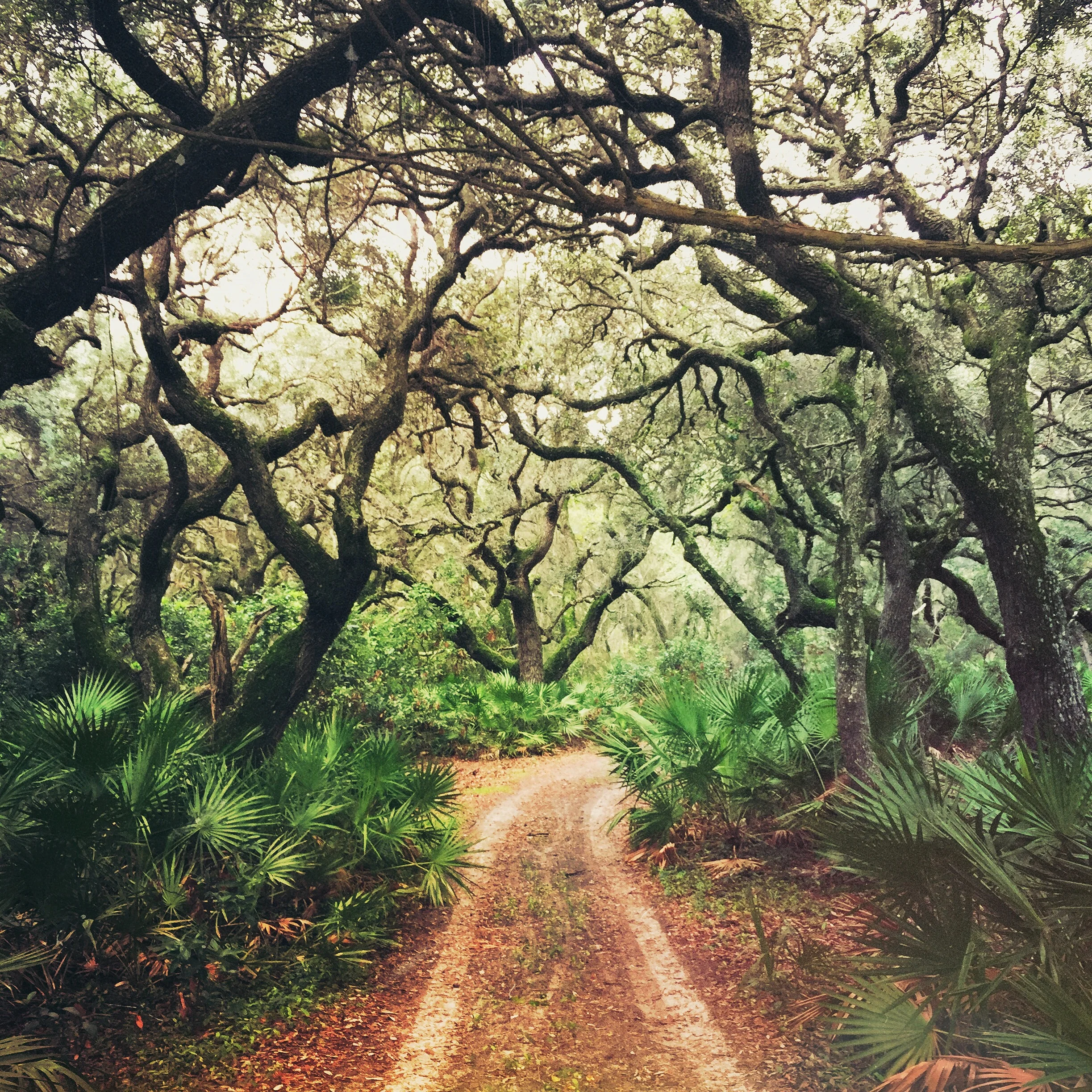 CUMBERLAND ISLAND