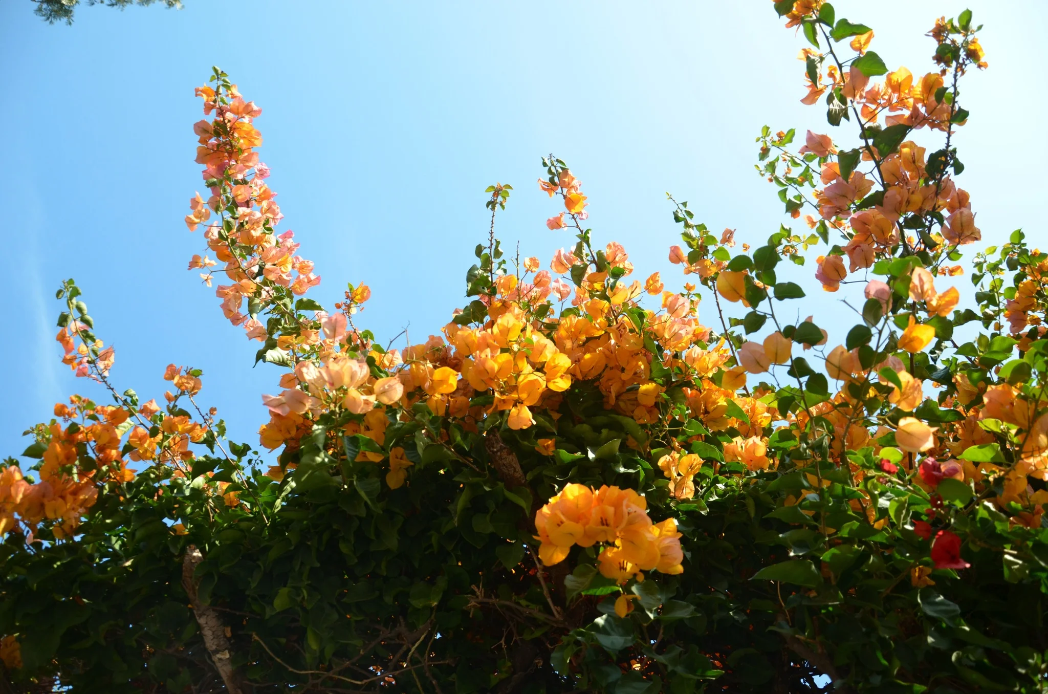 GETTING THERE IS HALF THE FUN