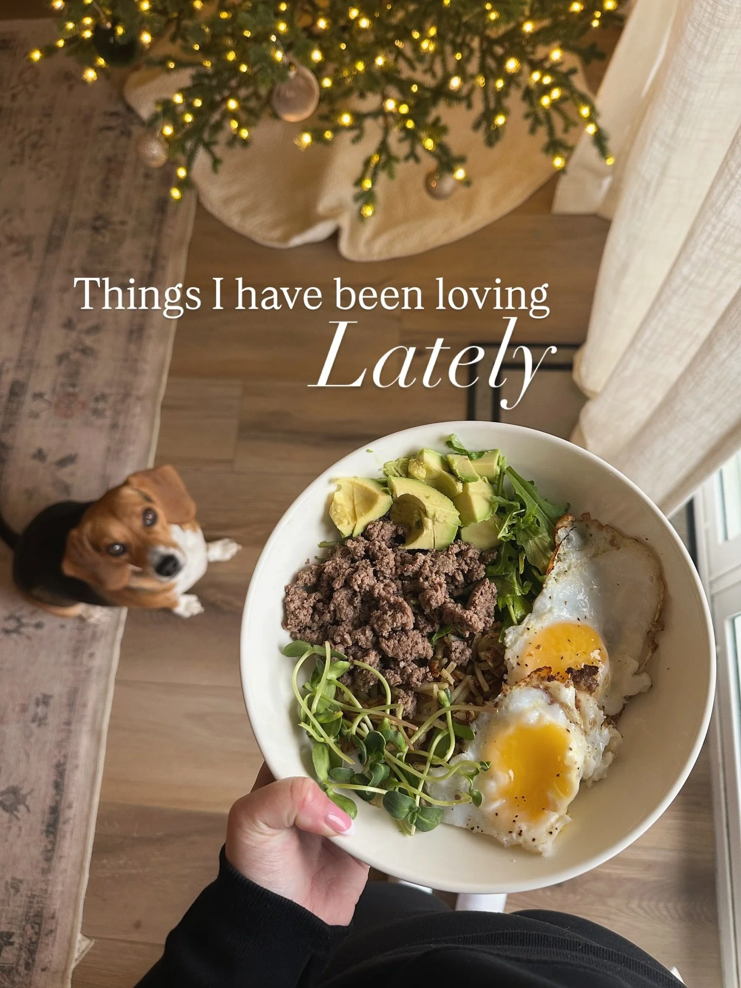 Just a few of my favorite things lately 🫶🏻 what are some of yours?!