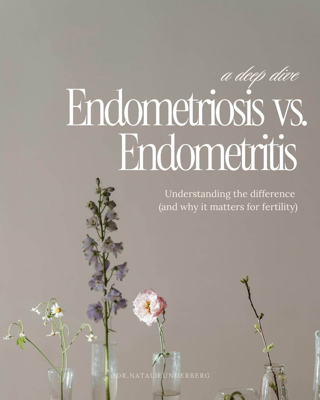 I have noticed there is a lot of confusion around endometriosis and endometrITIS! They are both very different but can both be problematic for fertility. Here is a deep dive that will hopefully provide more clarity! 

Comment &ldquo;LAB&rdquo; and I&