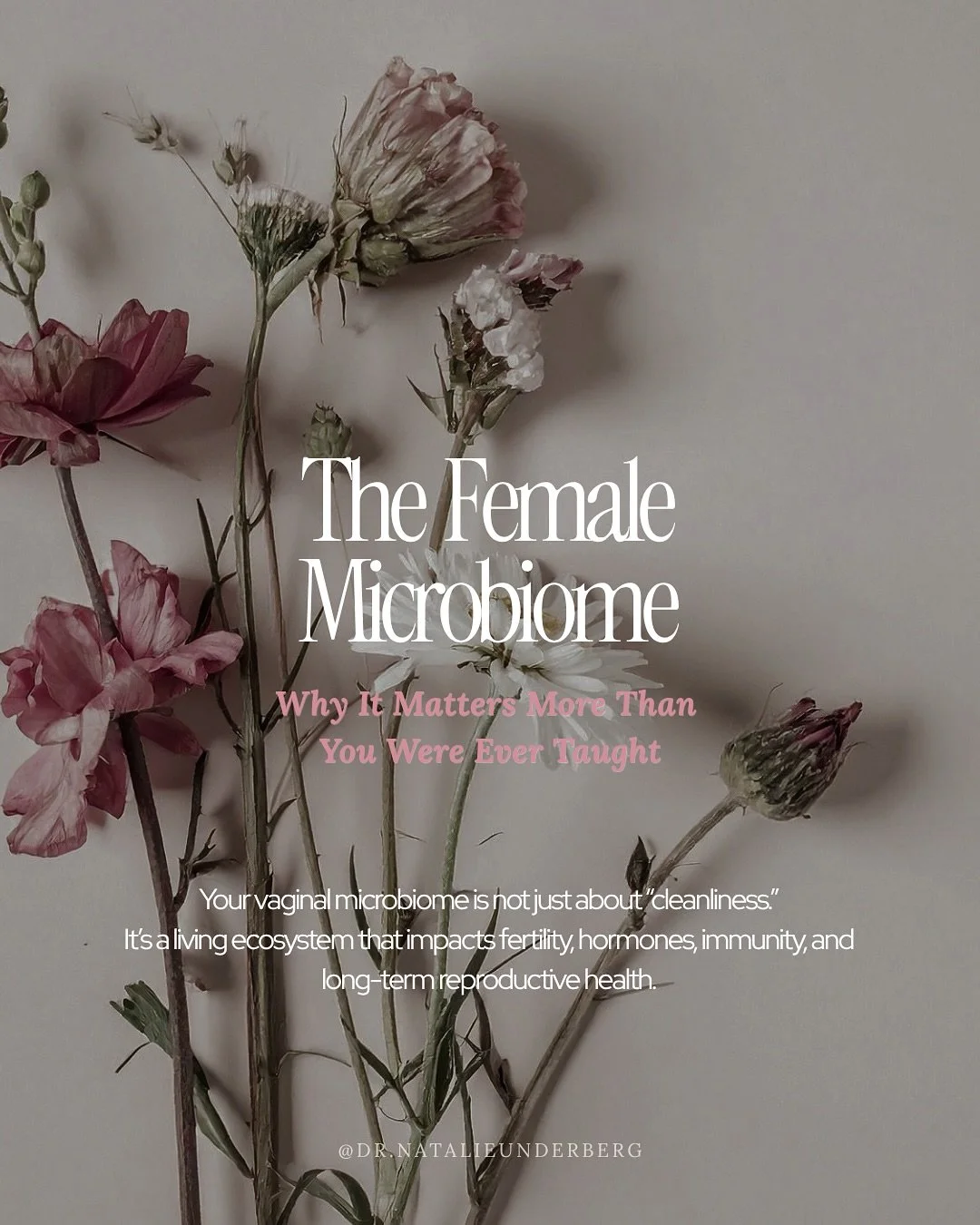A deeper dive into the female microbiome and what testing options look like 🫶🏻