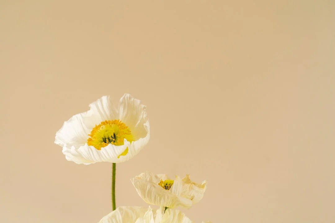 unsplash-image-r2SY2zsBmgM.jpg