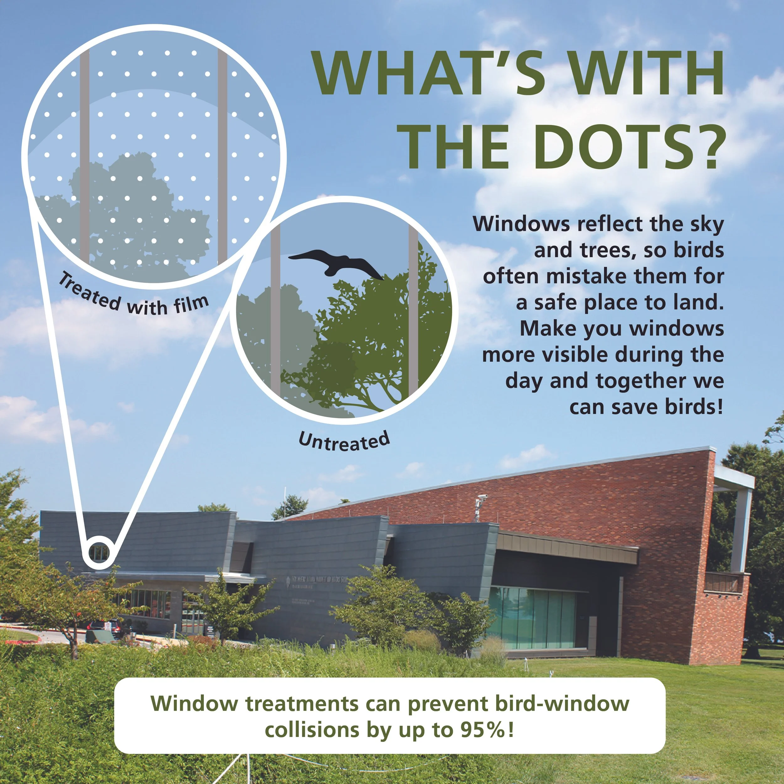 What's with the dots- GRAPHIC-02-01.jpg