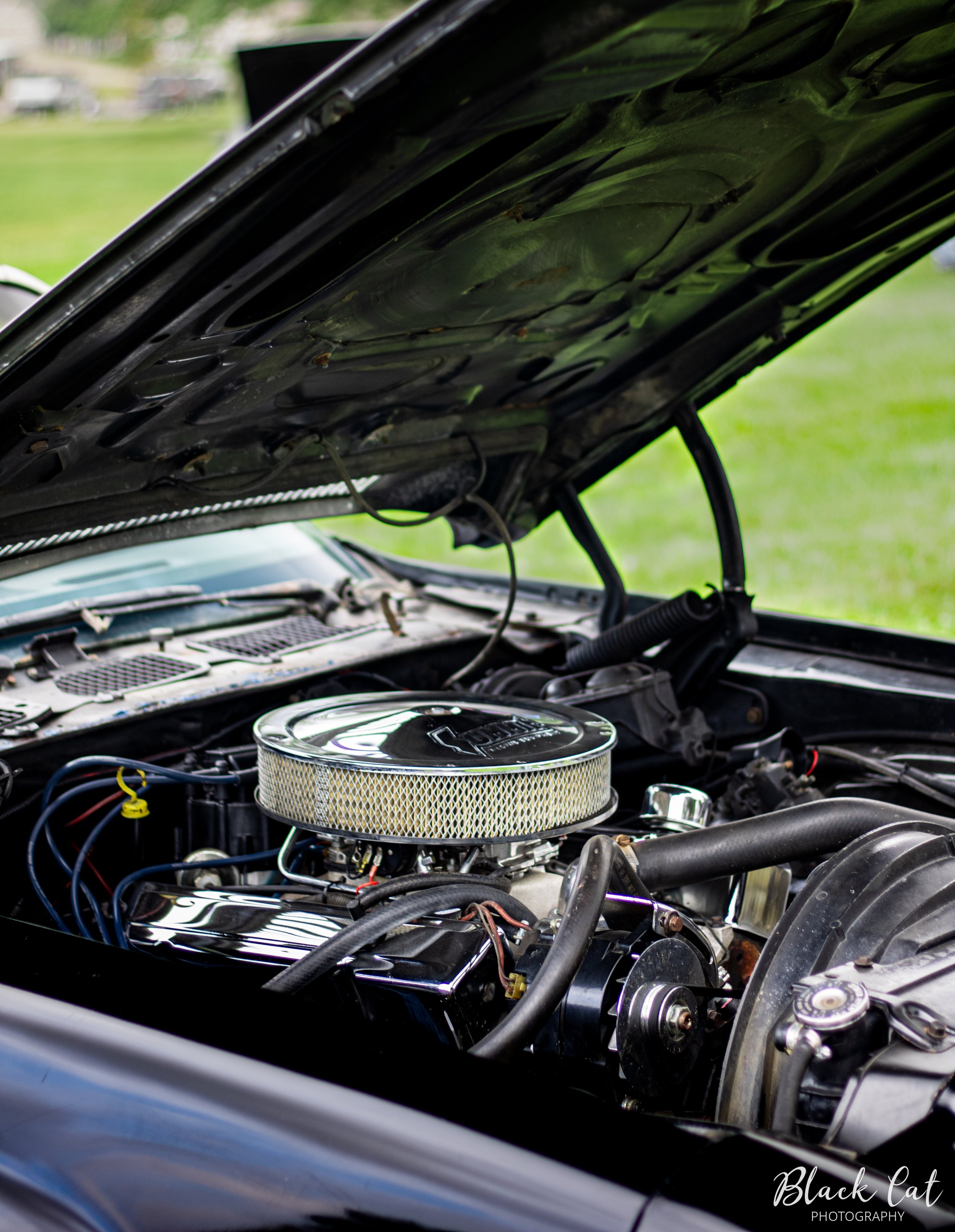 Camaro-11.jpg