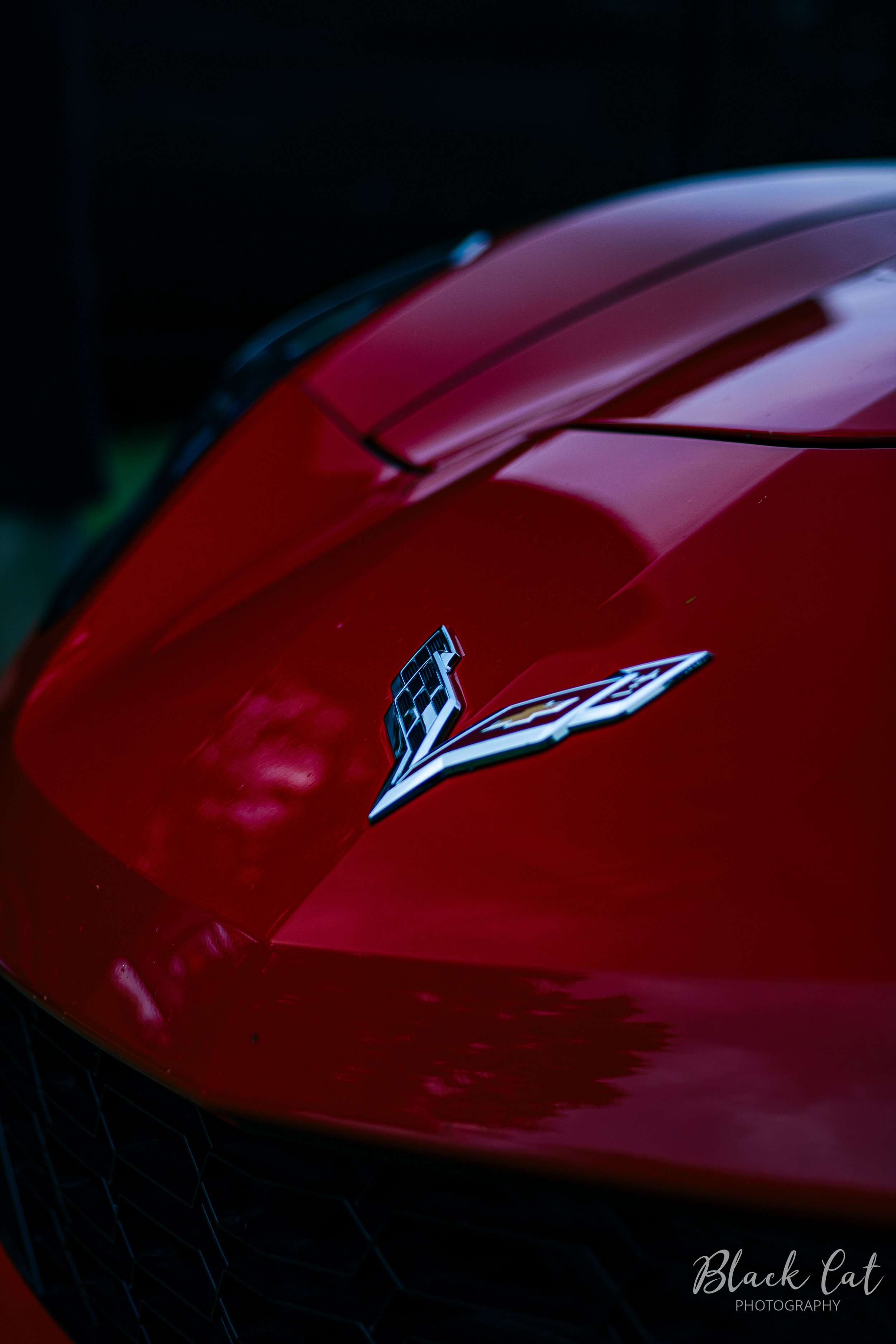 Corvette-5.jpg