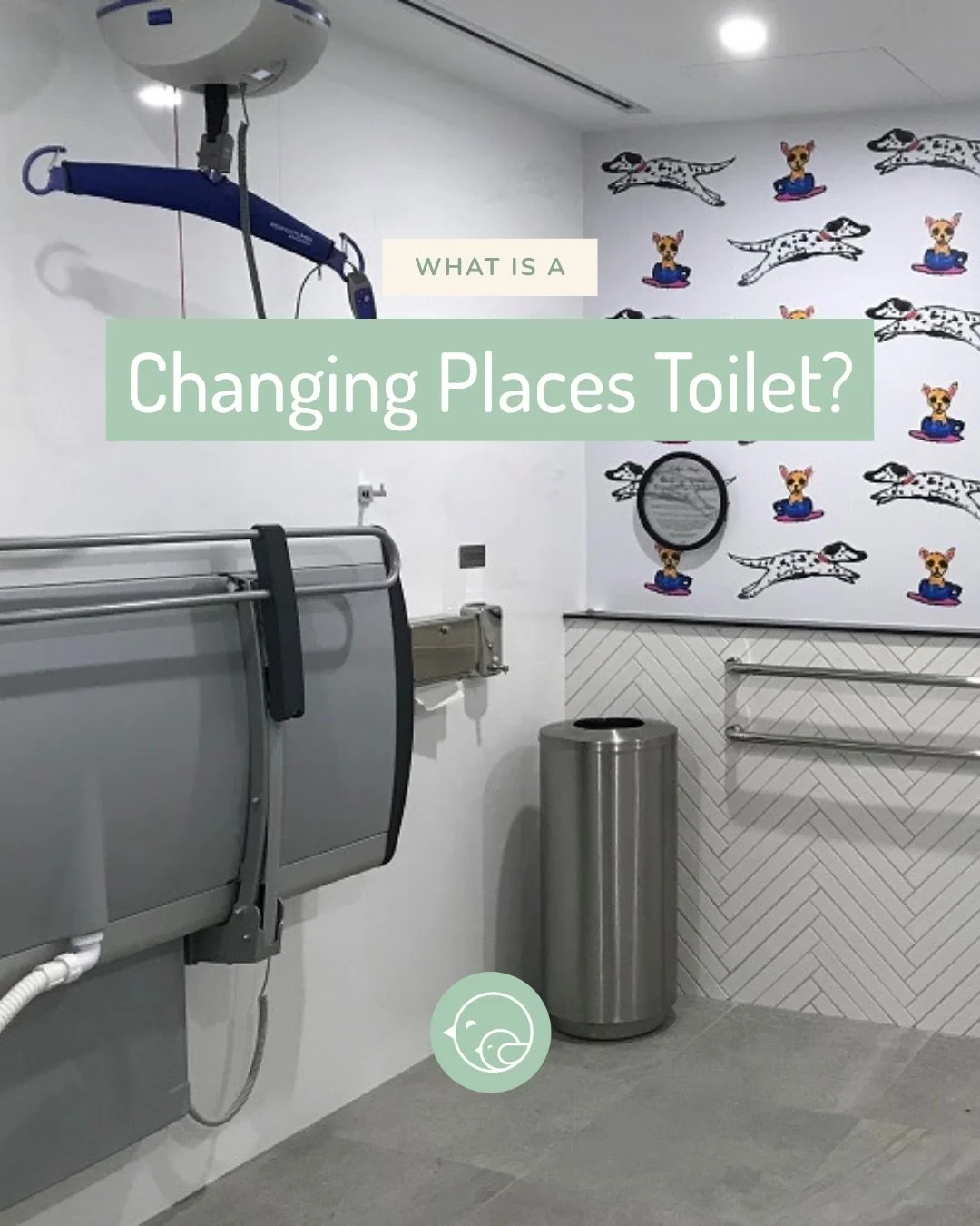 For families who need more space and specialised equipment when out in the community, Changing Places toilets can make a real difference to what is possible on a day out.

We have put together a full guide to locations across the Gold Coast, what to 