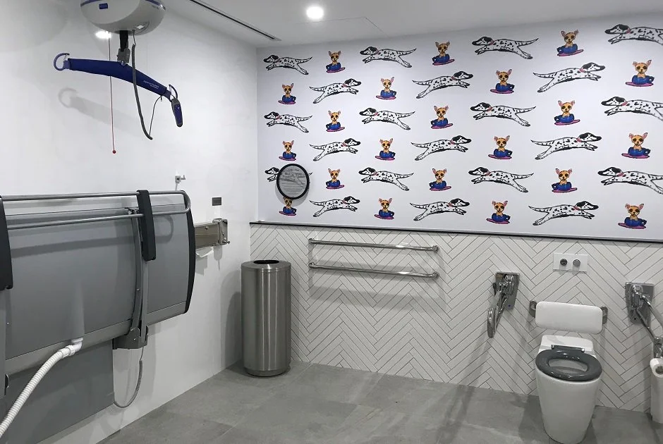 Changing Places accessible toilet facility featuring ceiling hoist, height-adjustable adult changing bench and grab rails