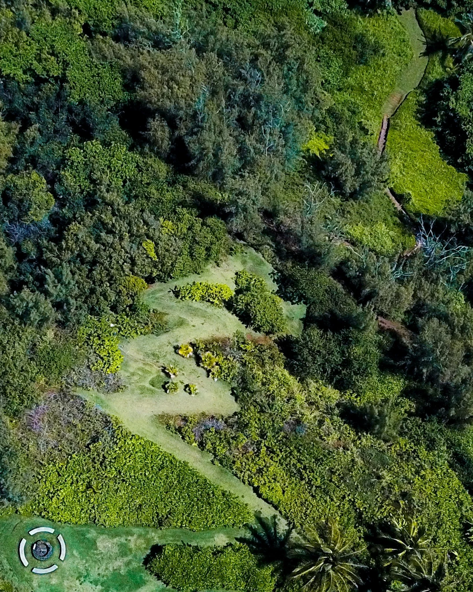 DJI_0791.jpg