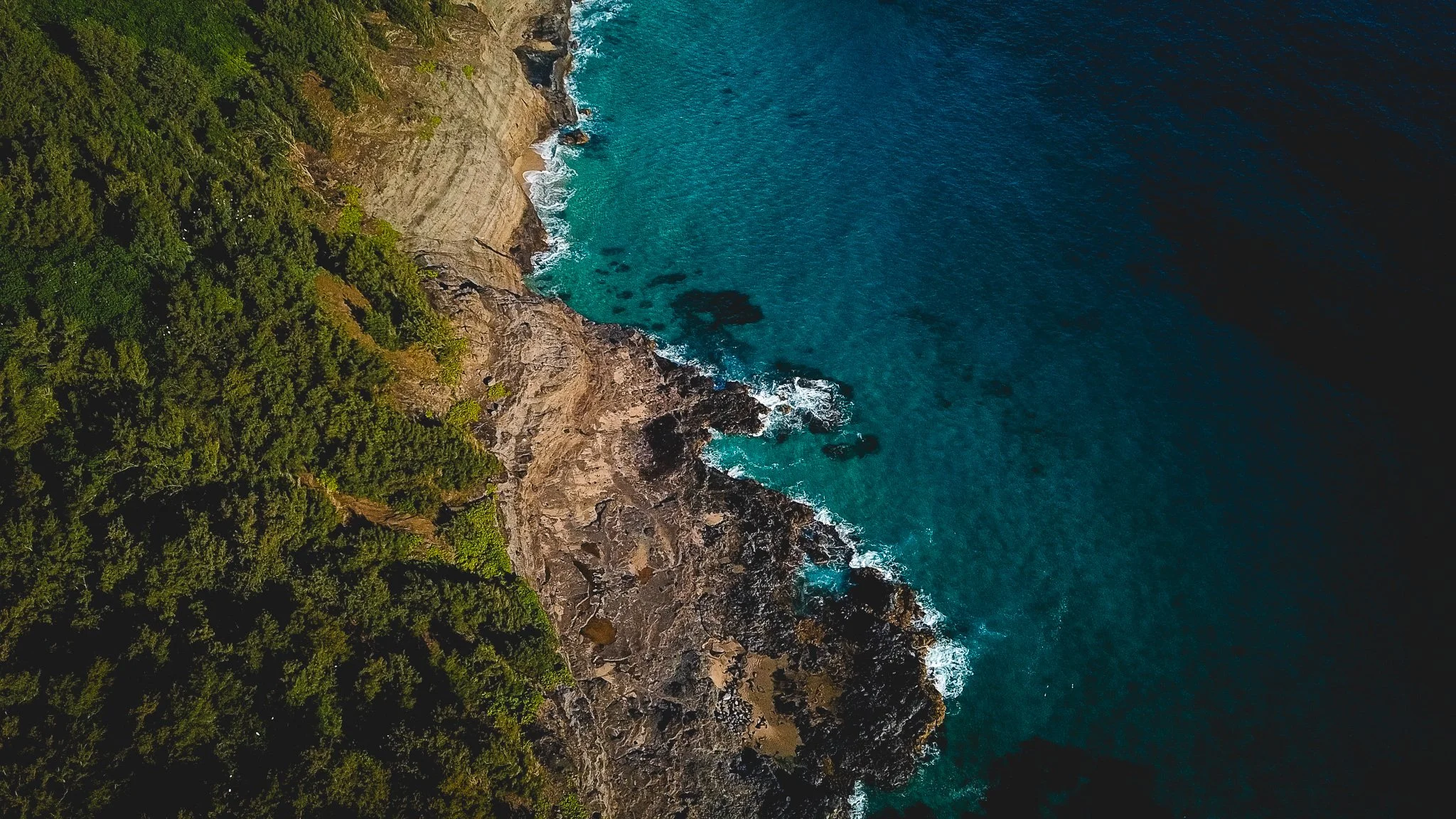 DJI_0950.jpg