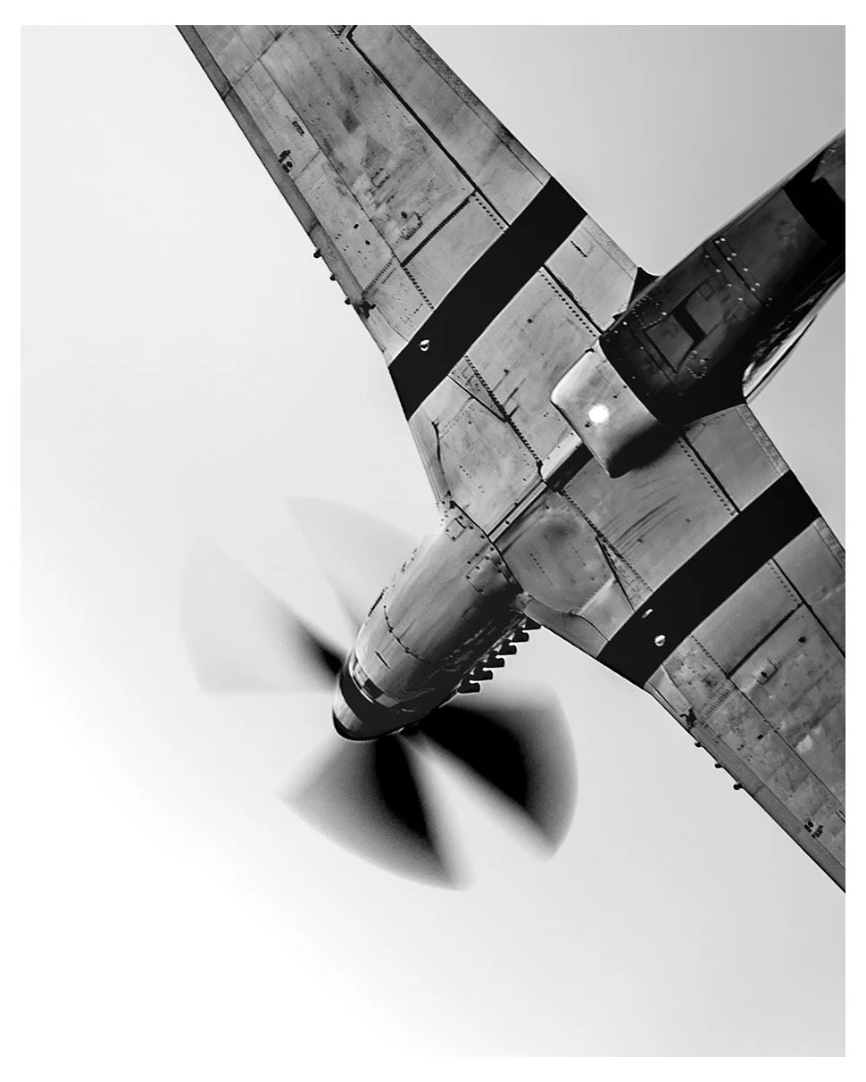 P513.jpg