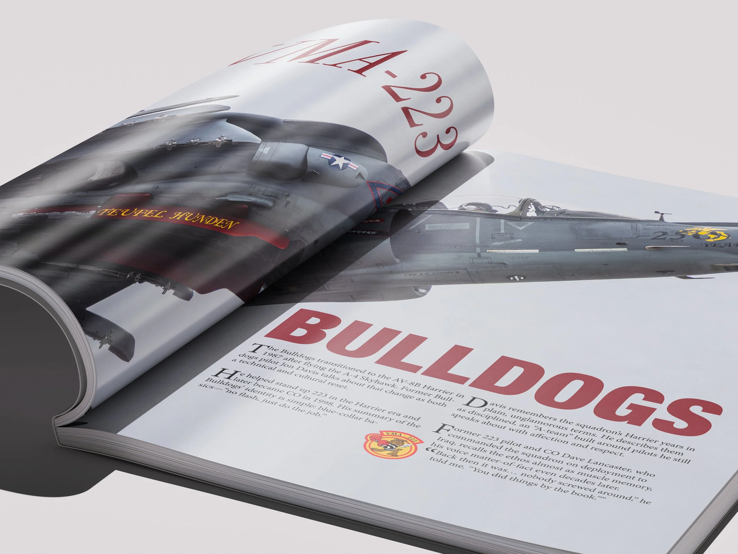 bulldogs-angle-5.jpg