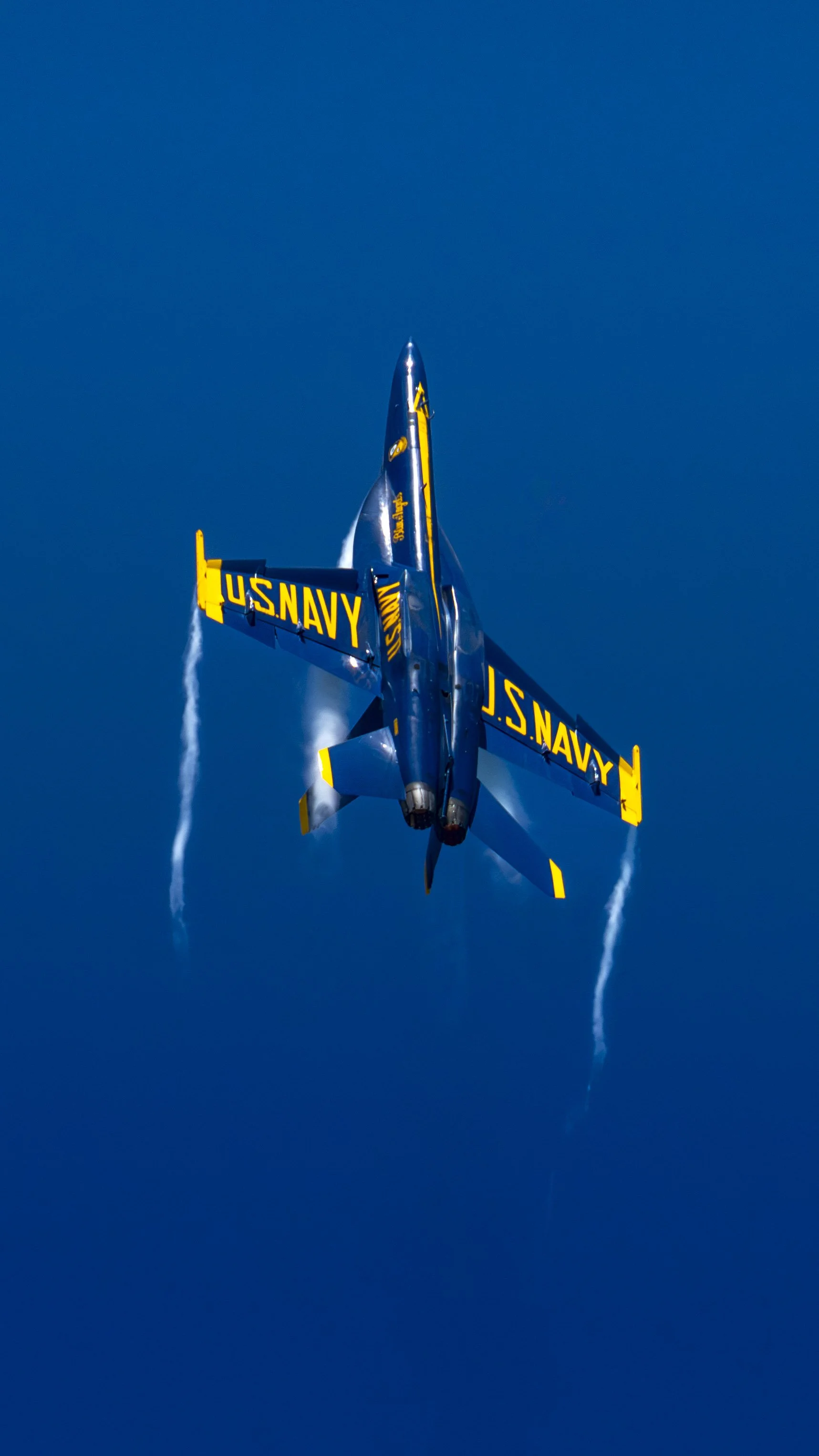 EF_portfolio-21.jpg