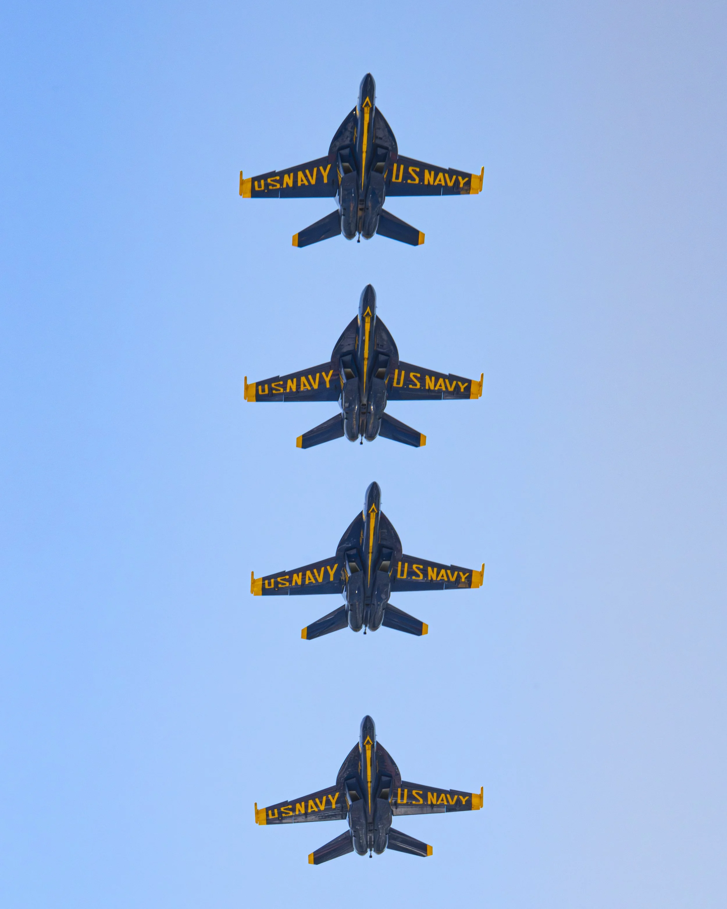 EF_portfolio-63.jpg