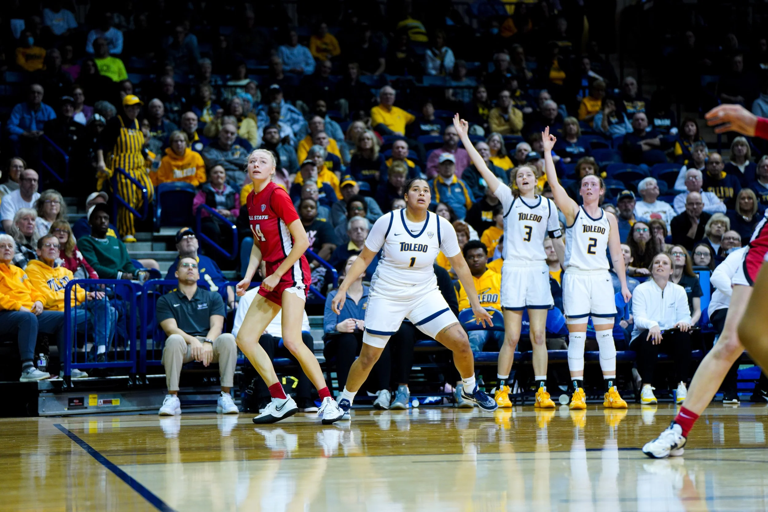 EF_portfolio_WBB-191.jpg