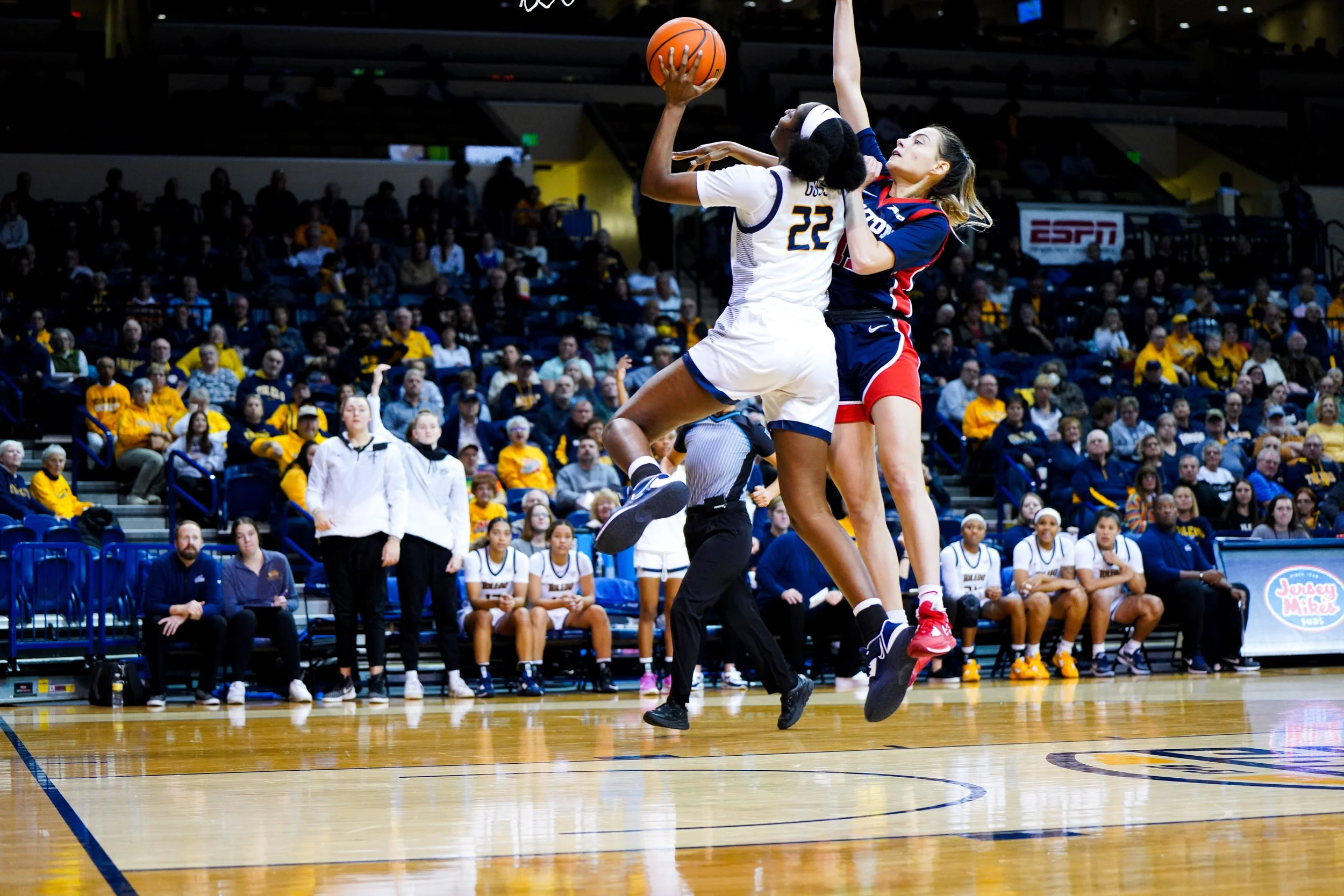 EF_portfolio_WBB-106.jpg