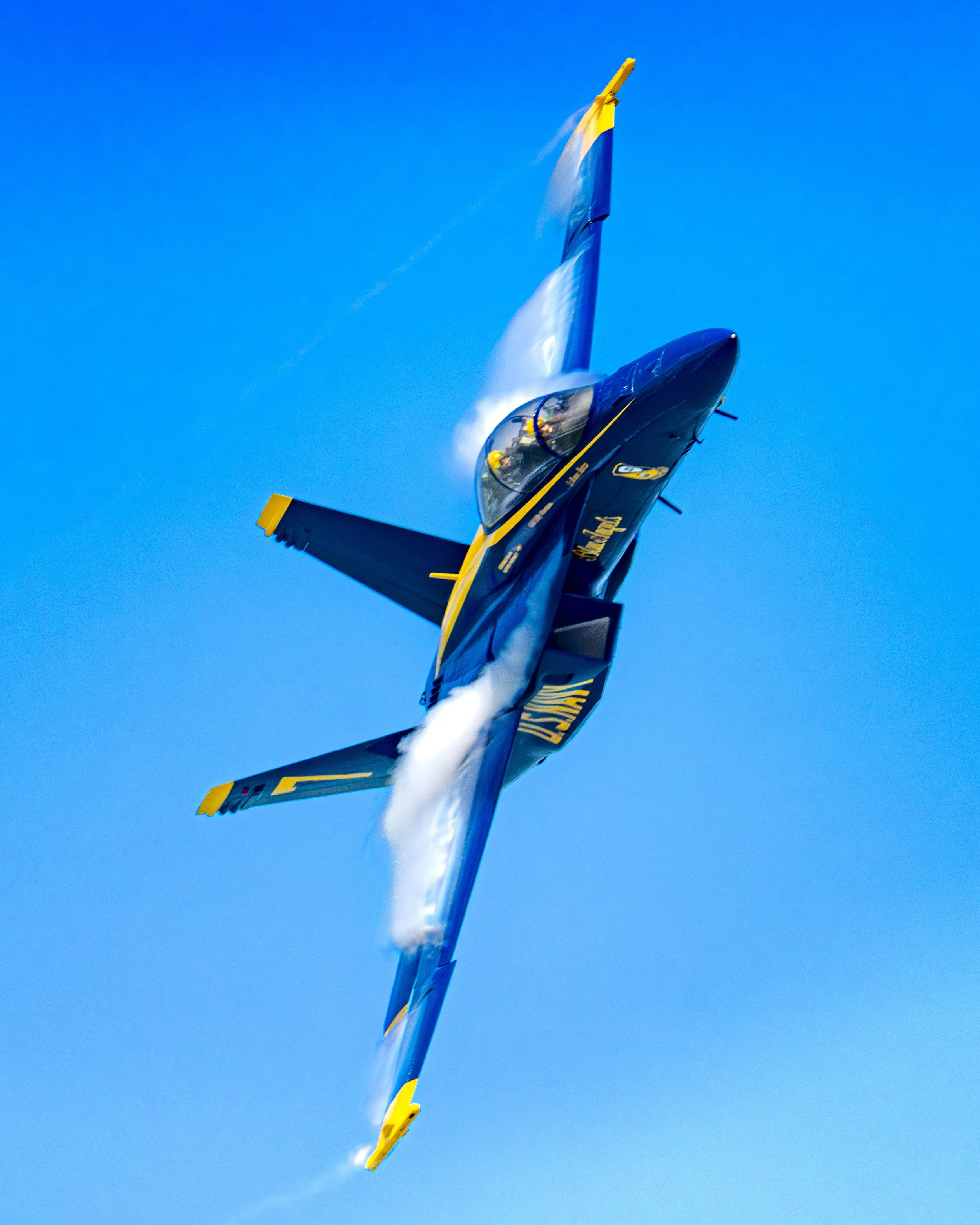 EF_portfolio-WEB2026-37.jpg