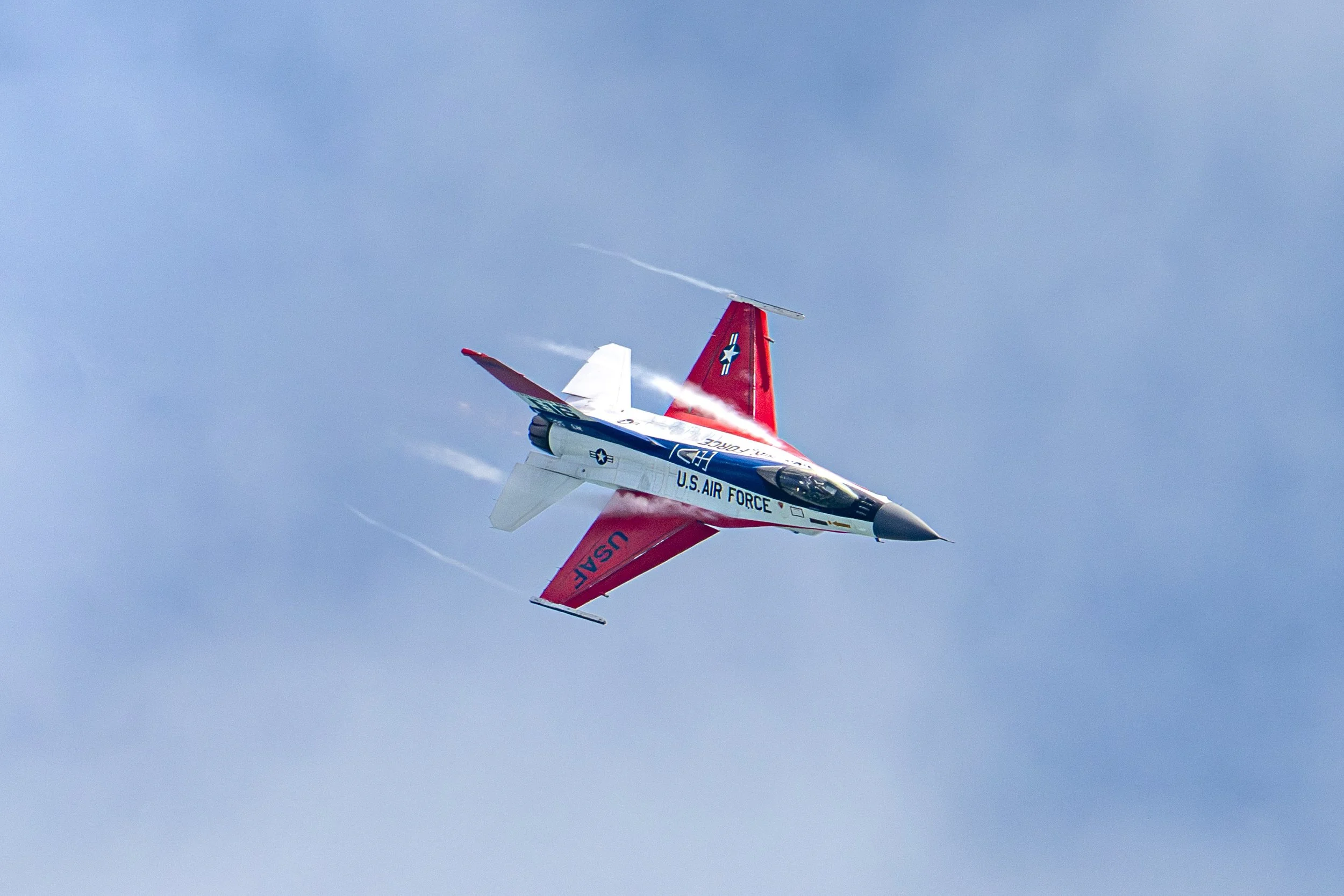EF_portfolio-51.jpg