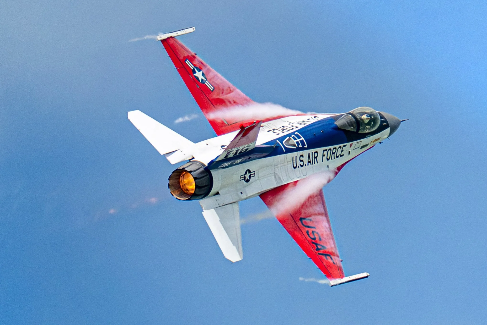 EF_portfolio-49.jpg