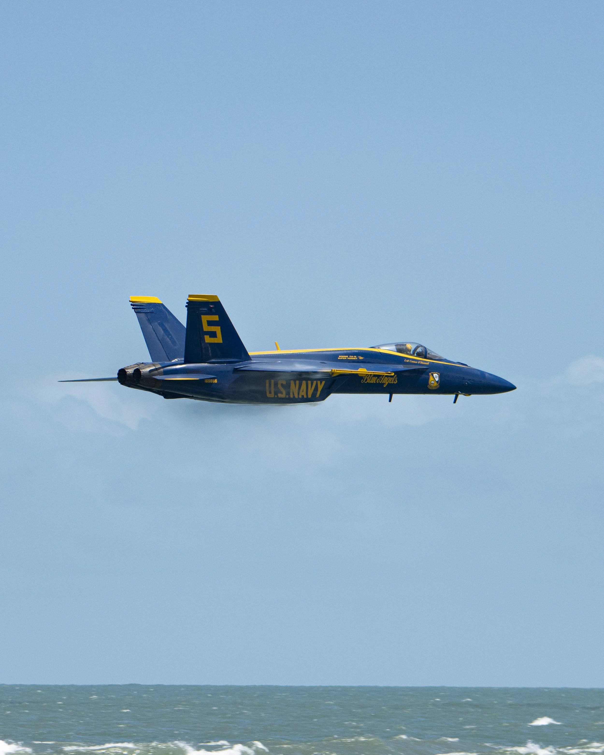 EF_portfolio-62.jpg