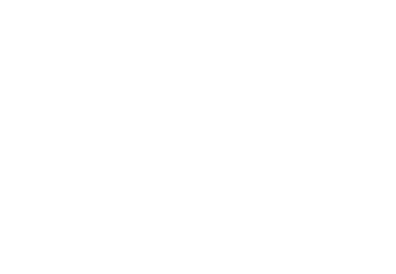 Echo Fox Media
