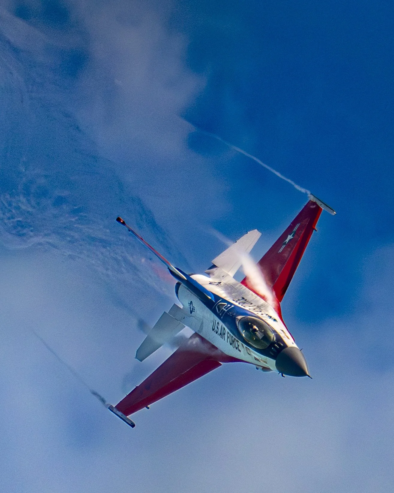 EF_portfolio-9.jpg