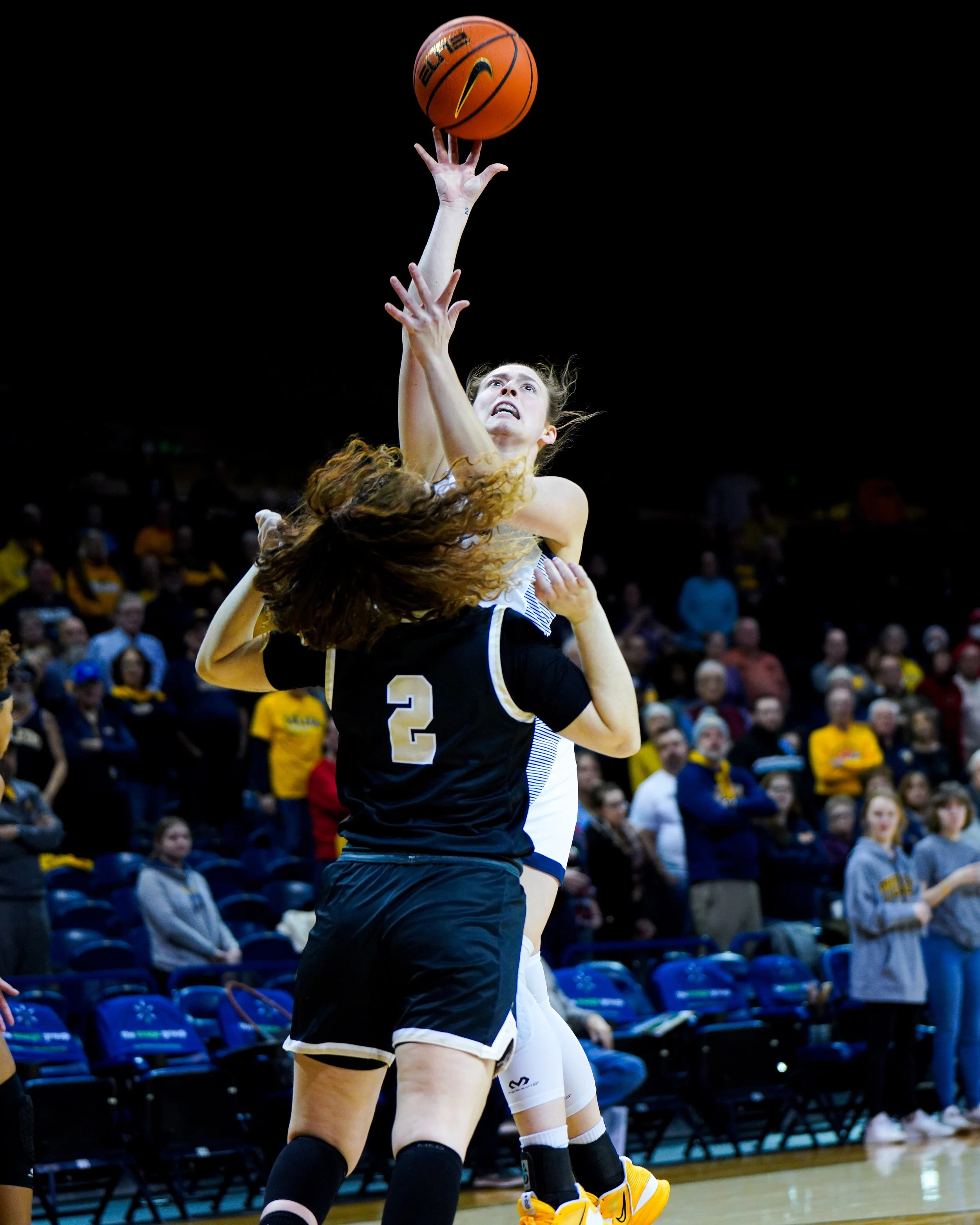 EF_portfolio_WBB-123.jpg
