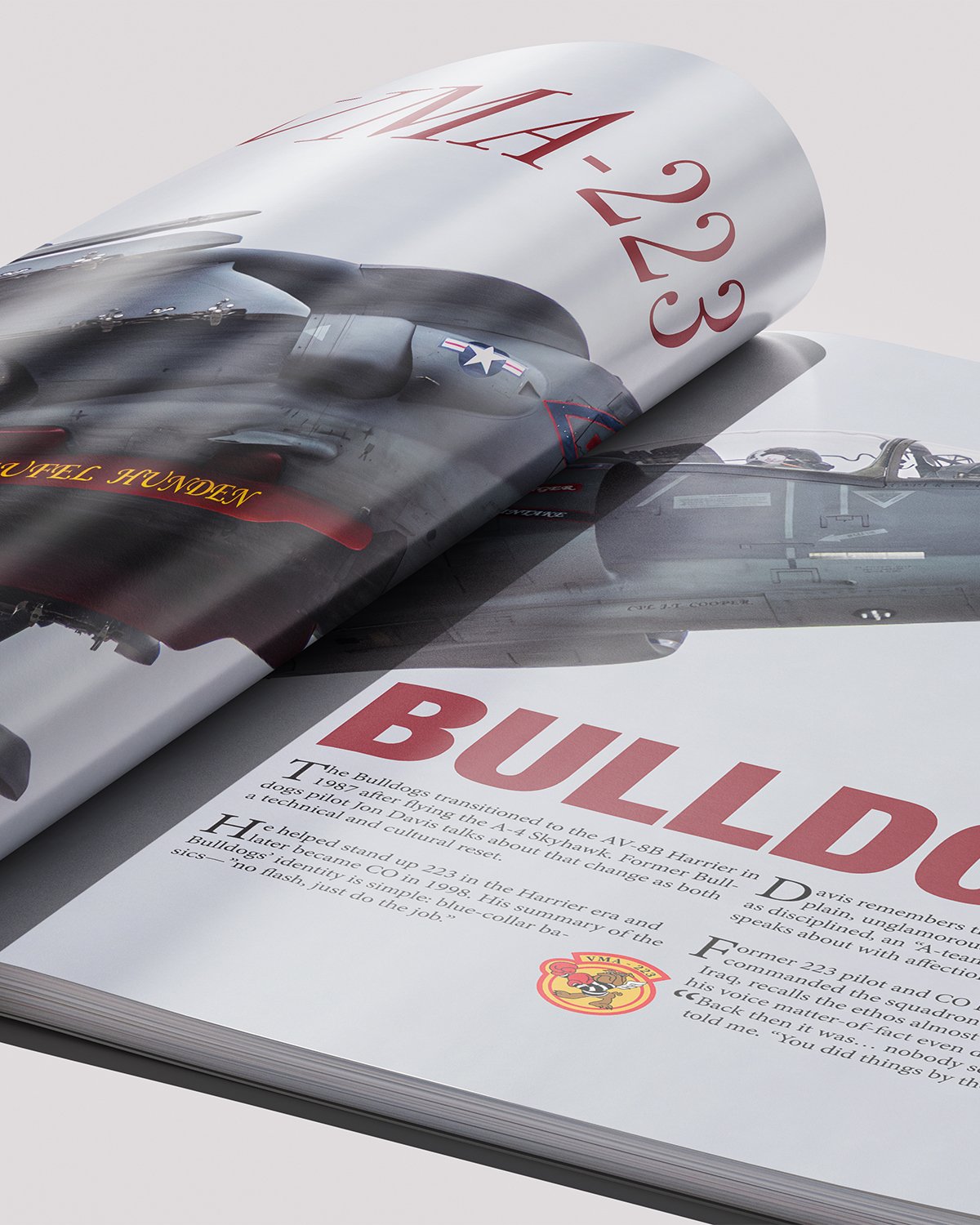 bulldogs_close-up-.jpg