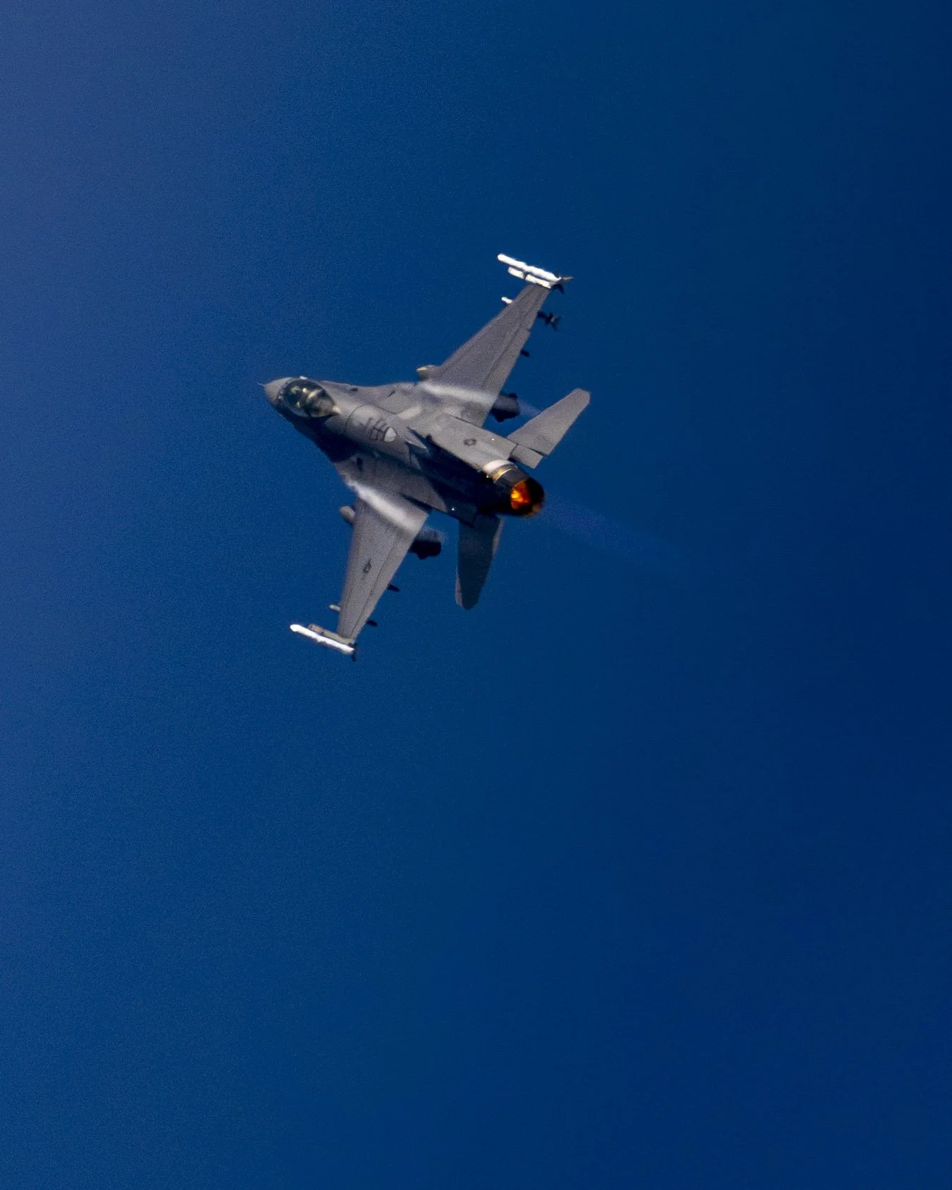 EF_portfolio-78.jpg