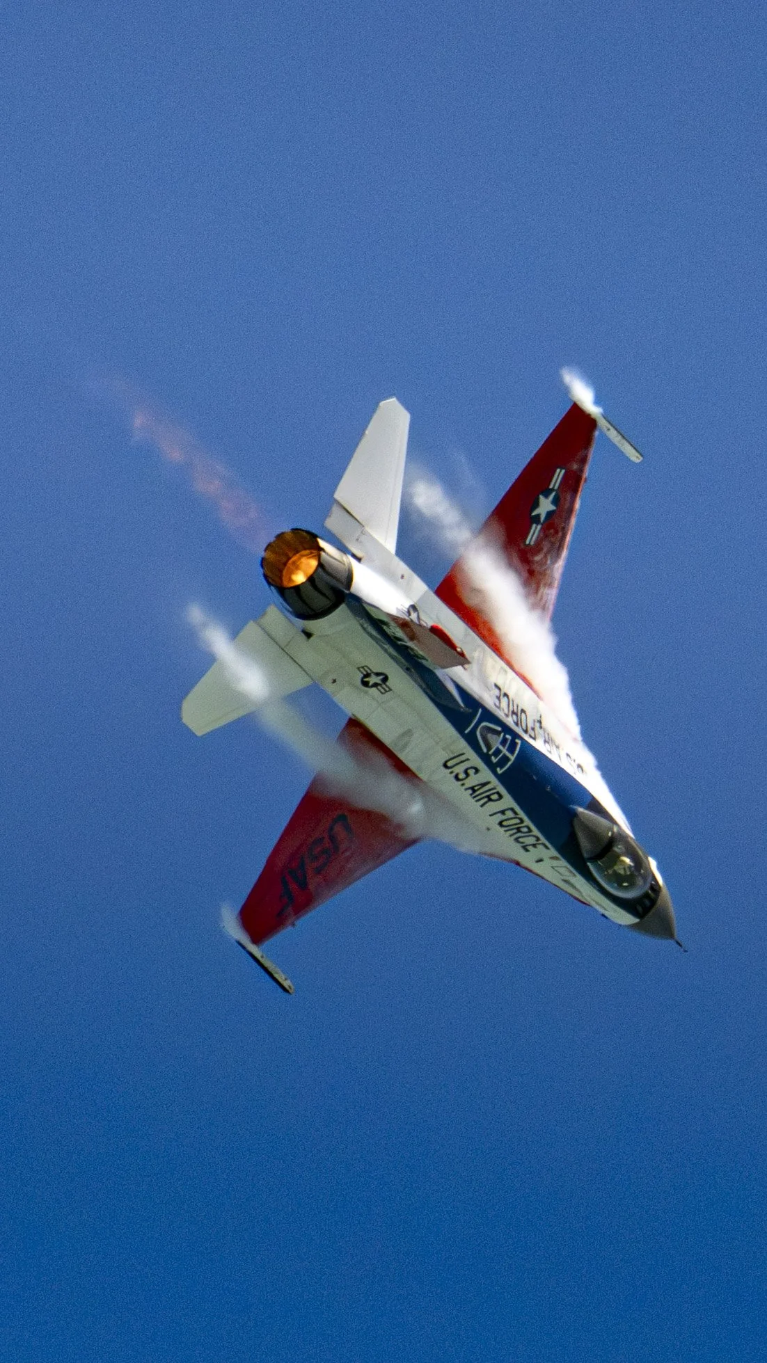 EF_portfolio-8.jpg
