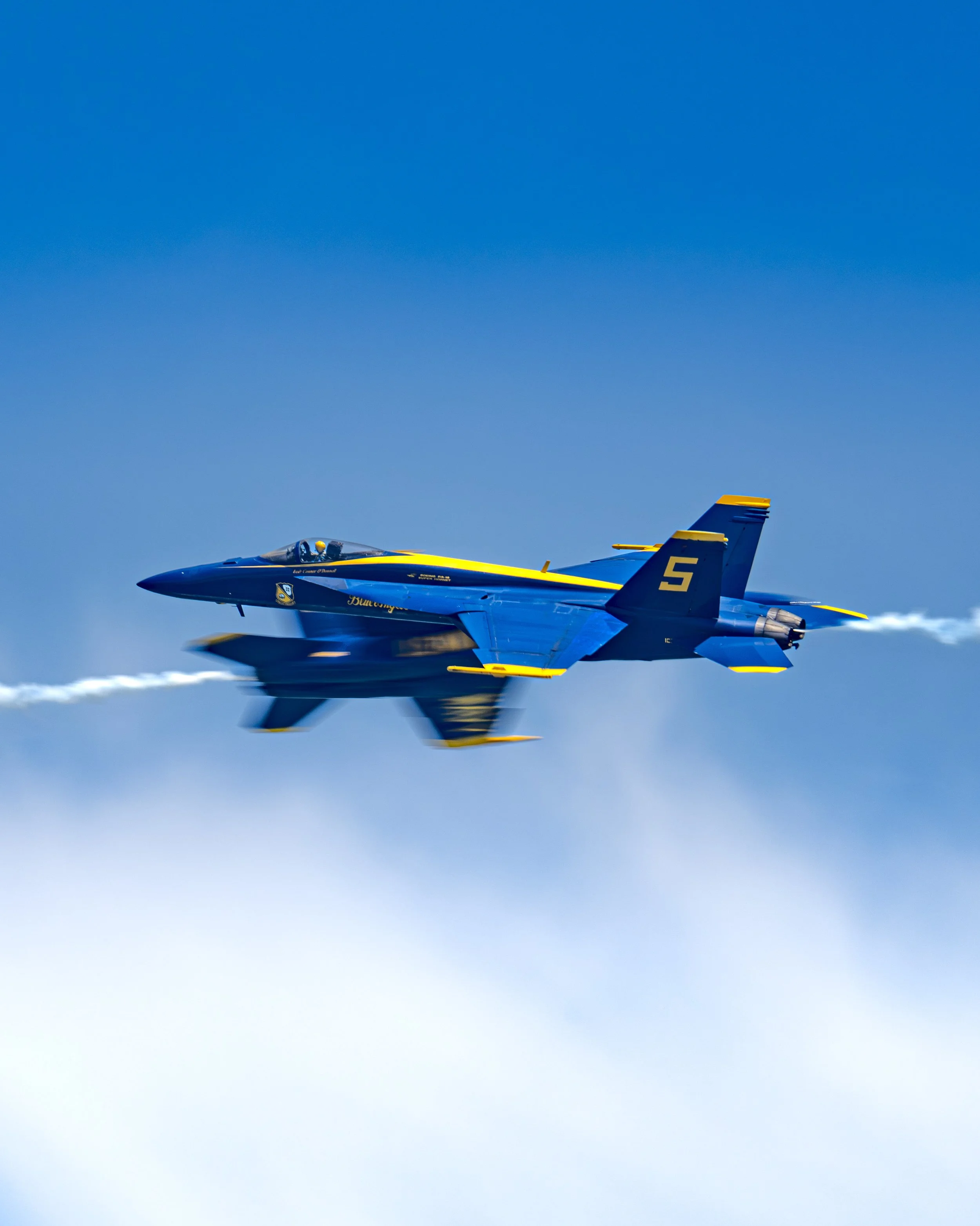 EF_portfolio-61.jpg