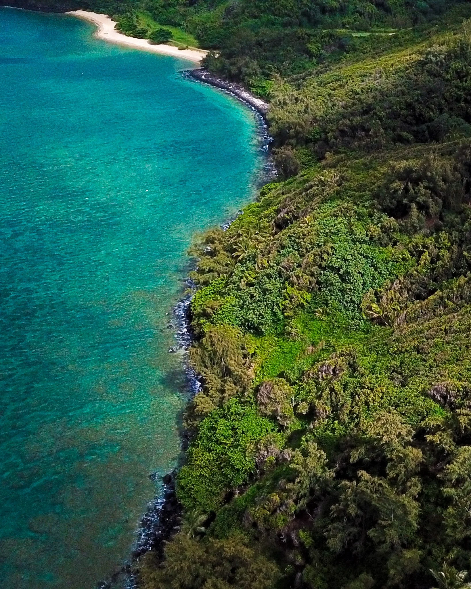 DJI_0767.jpg