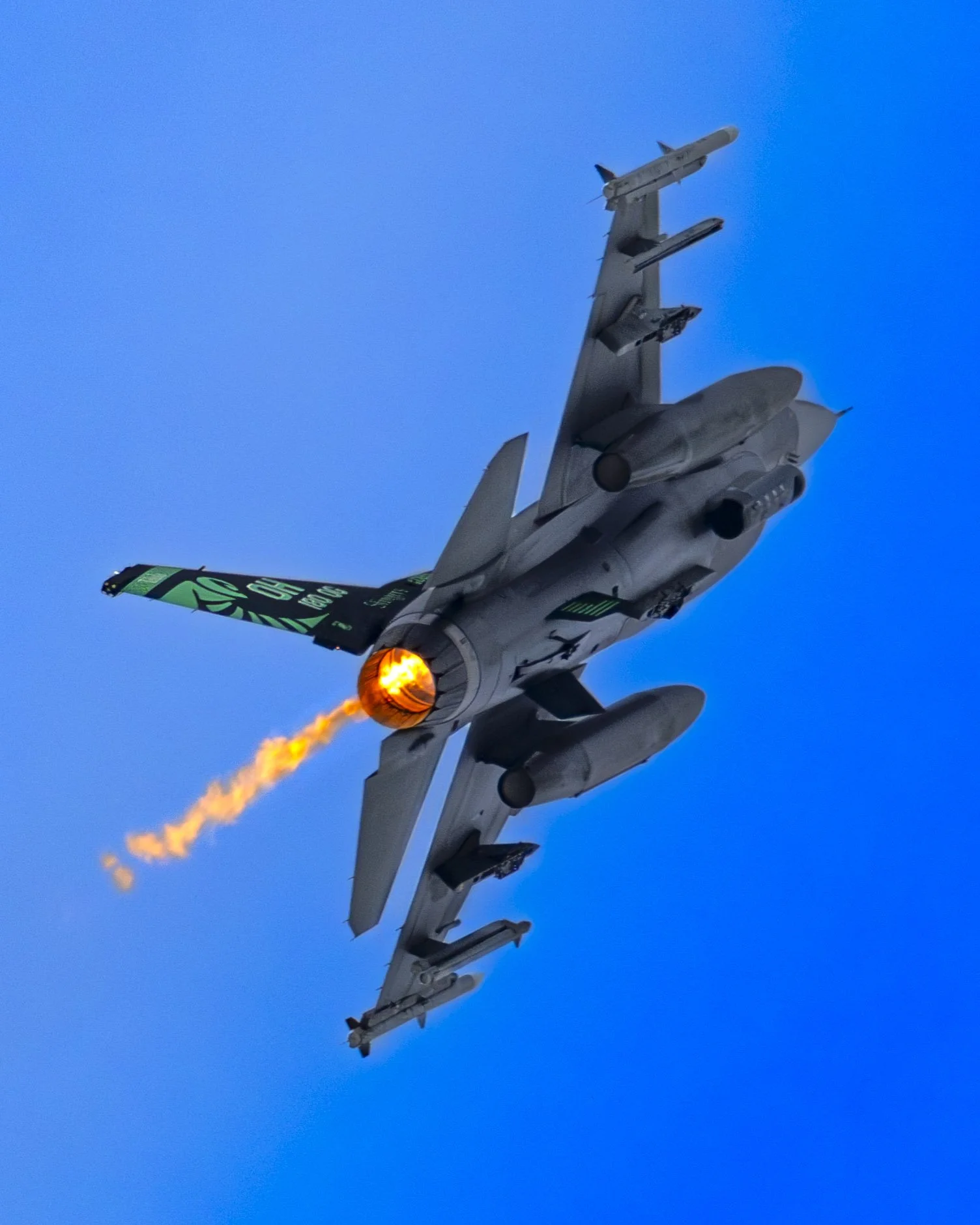 EF_portfolio-87.jpg