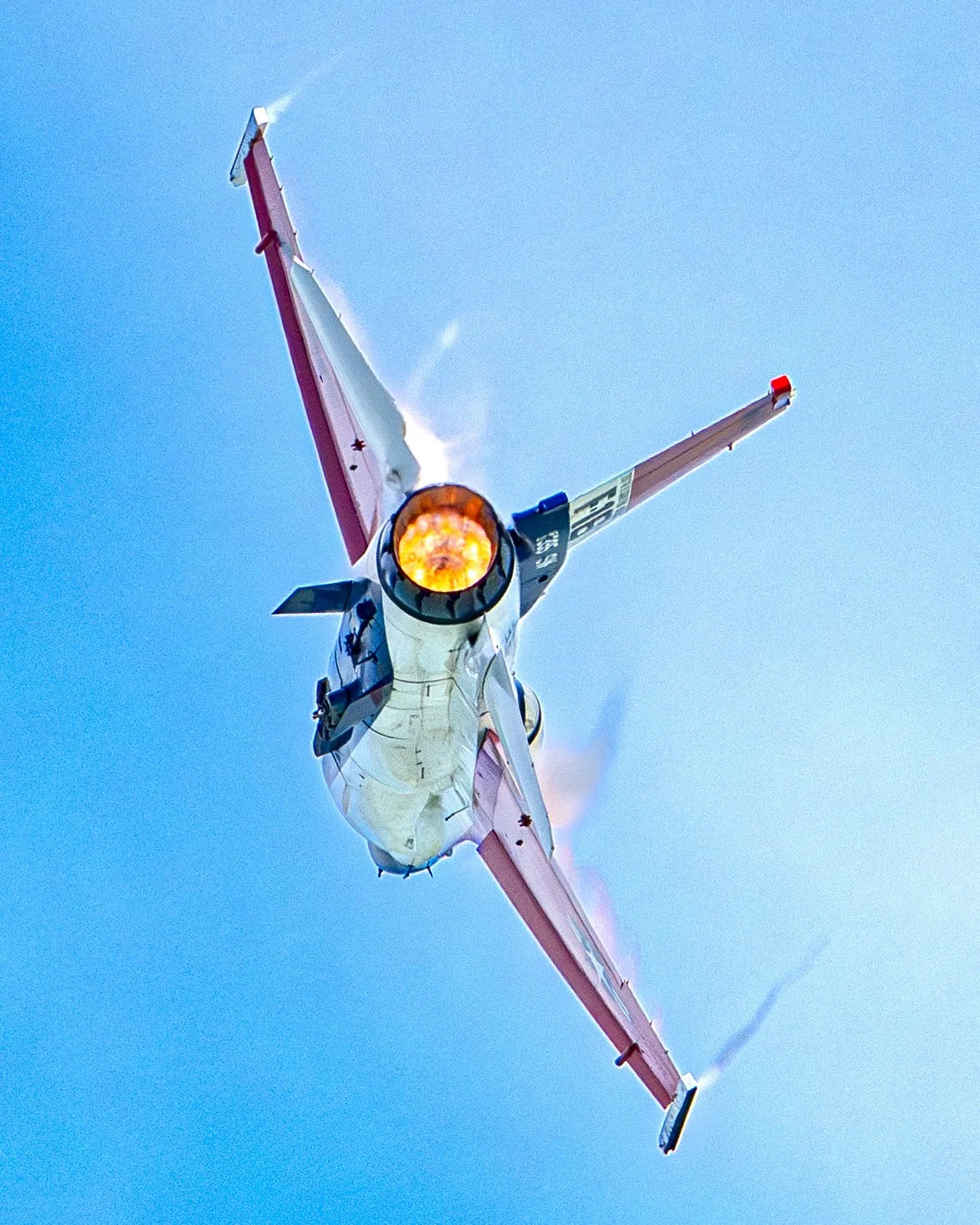 EF_portfolio-94.jpg