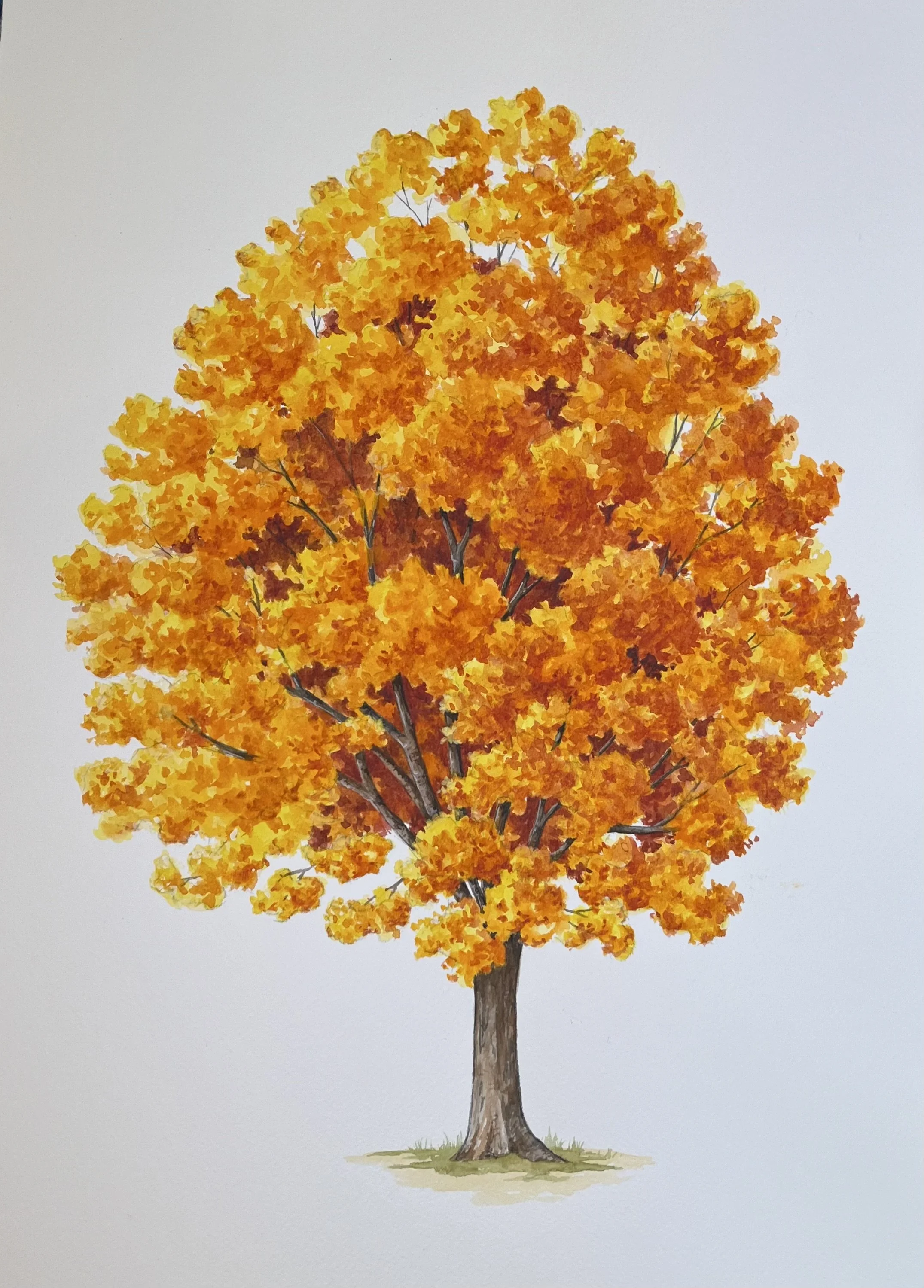 An illustration of a blooming tree with orange and yellow leaves, and a brown trunk, set against a light background.