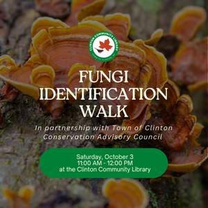 Fungi Identification Walk