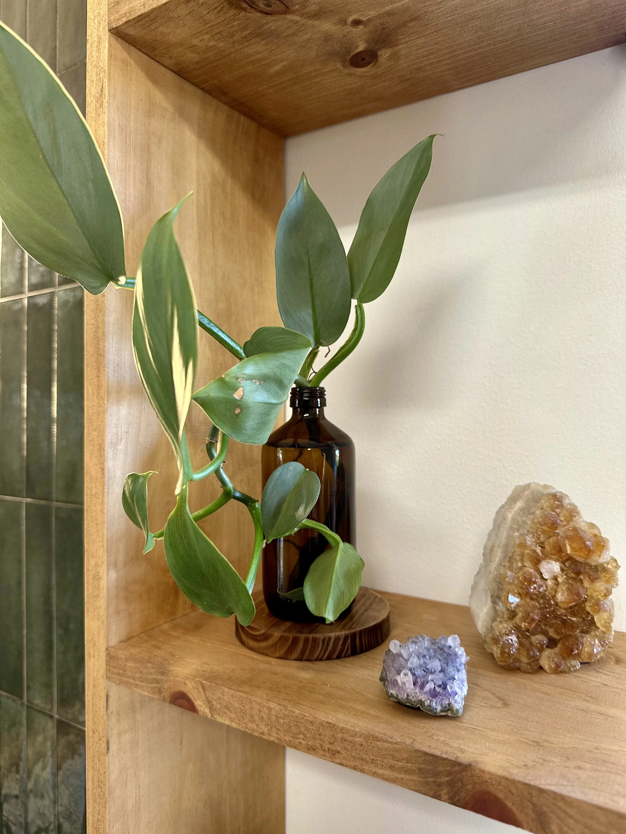 Wooden shelf with a potted vine plant, amethyst crystal, and citrine crystal cluster.