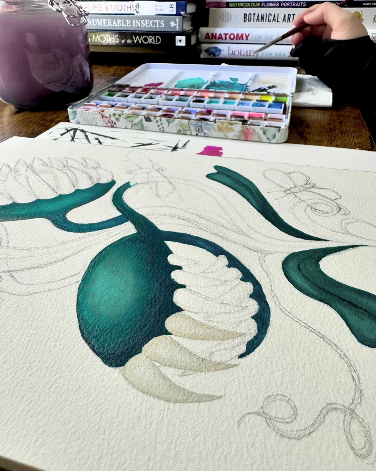 Working on Vicious Fangtrap in gouache 🌱 
Don&rsquo;t mind the filthy paint water 🤫

#noctifloradesigns #gouachepaintings #gouache #gouacheartwork #paintingprocess #artprocess #creepycuteart #spookycuteart #spookyplants #carnivorousplants #botanica