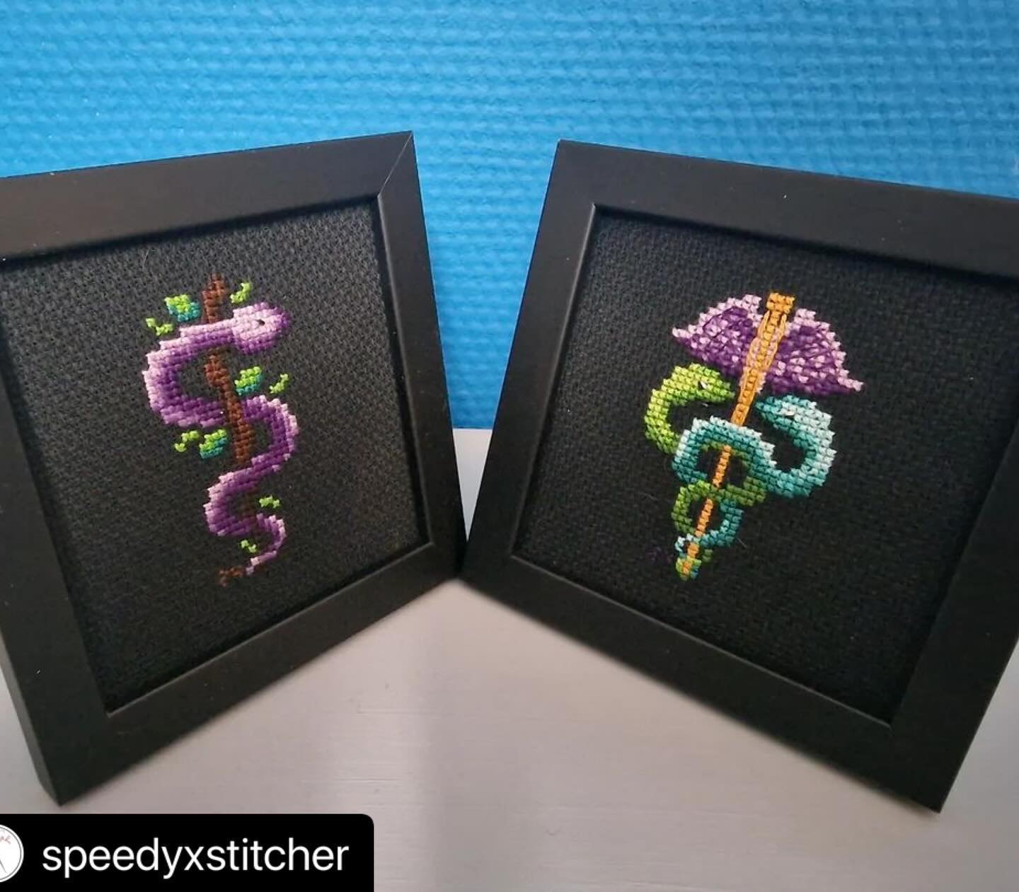 What gorgeous finishes by @speedyxstitcher ! I love the black frames with the black fabric 🖤

These patterns are part of the @thestitcherscollective charity bundle benefitting Doctors Without Borders. The bundle will be available til the end of Apri