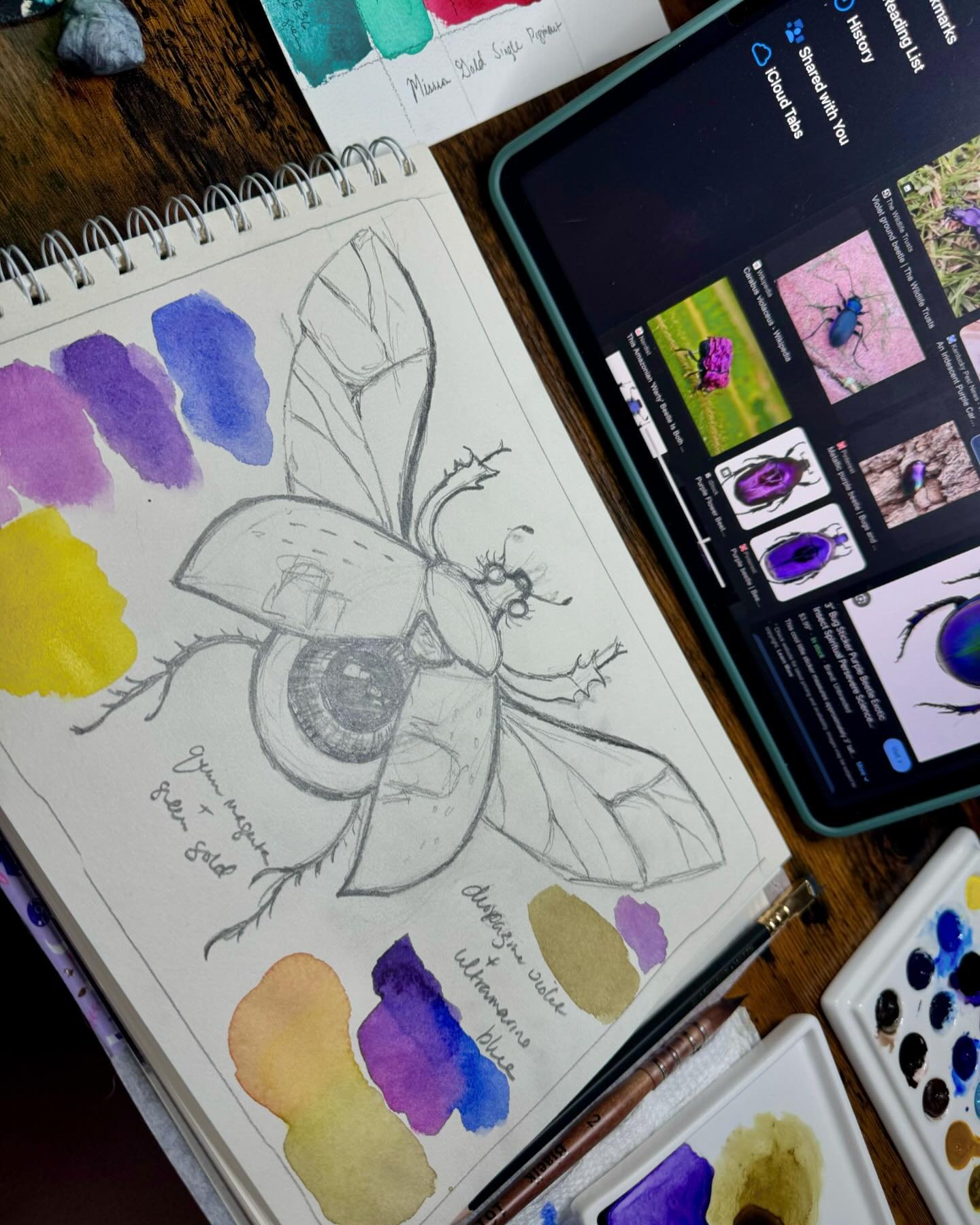 Planning a new painting 🪲

#noctifloradesigns #spookybotanicalart #insectart #sketching #artprocess #spookyart #darkacademiaaesthetic