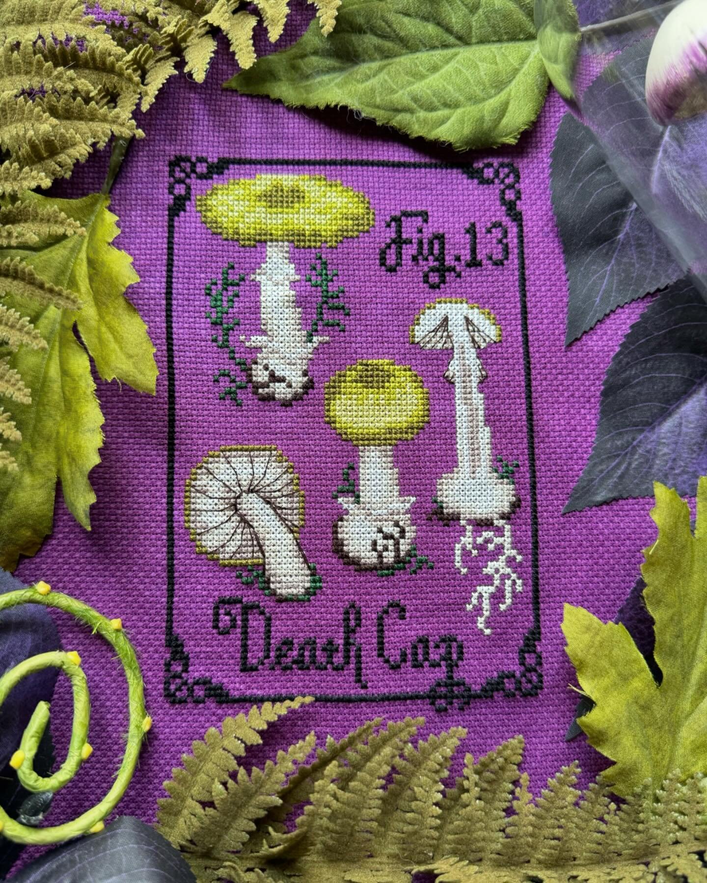 🍄Pattern Reveal&mdash;Death Cap Field Sketch 🍄

I created this design for the @starstitchery Cottagecore Stitch Box, and it is exclusive to the box for now but will eventually be released in my shops 🍄

I loved stitching this one, and hope to desi
