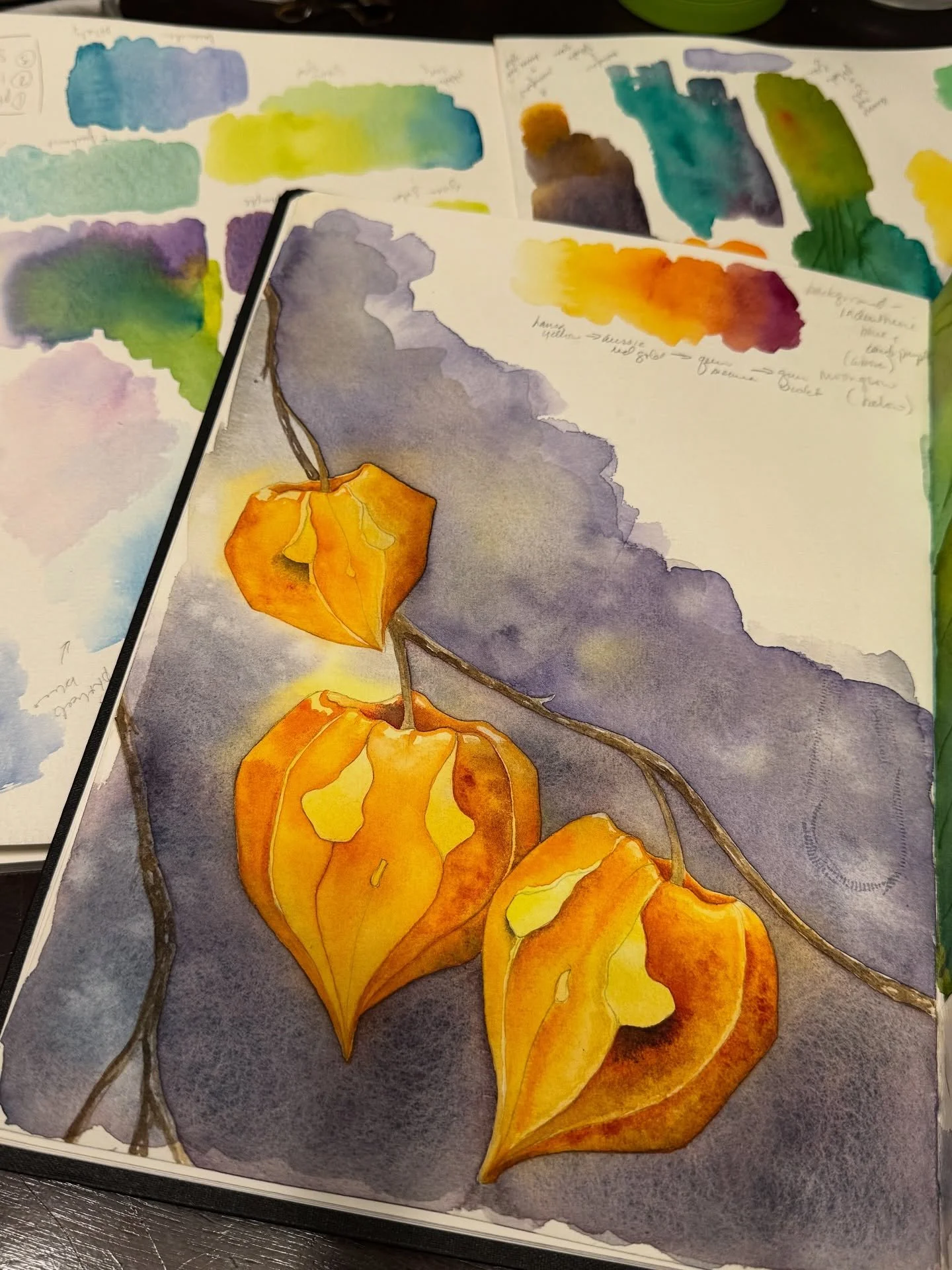 Recent sketchbooking 🎃

#noctifloradesigns #halloweenart #spookycuteart #creepycuteart #popsurealism #lowbrowart #sketchbookart #watercolorillustration #watercolorsketch #watercolorbotanicals #botanicalartlovers #darkart