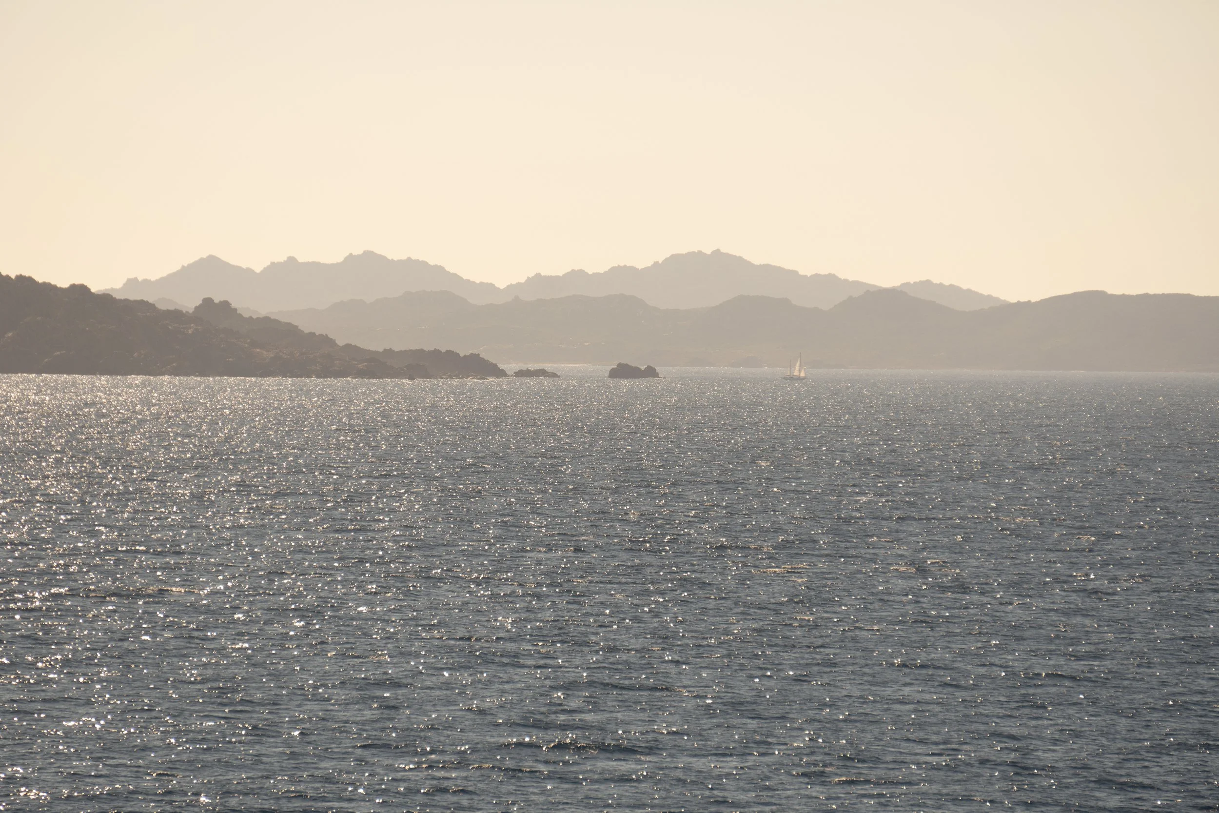 The Mediterranean diet today.