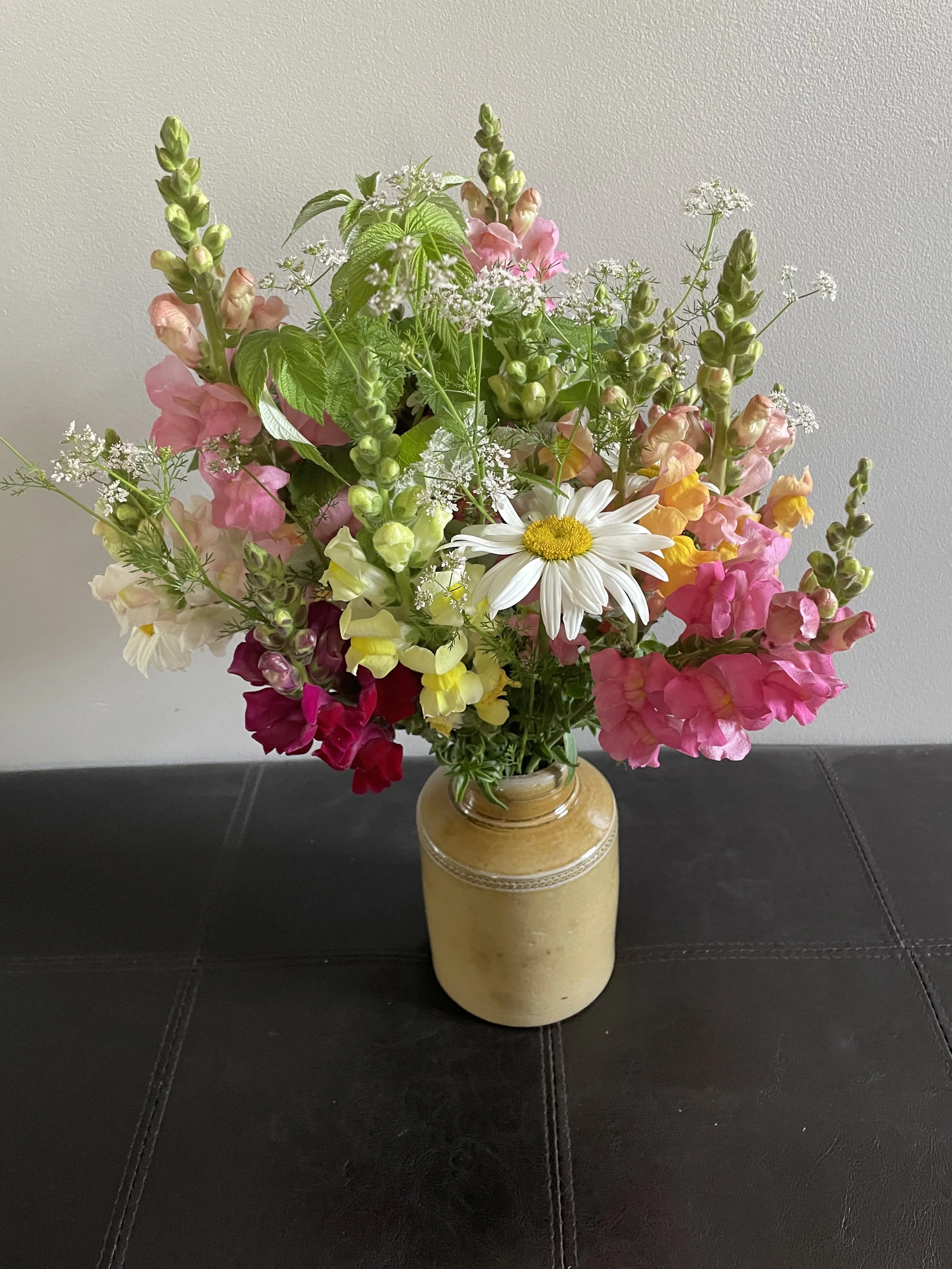 snapdragon, shasta daisy, orlaya, stock arrangement