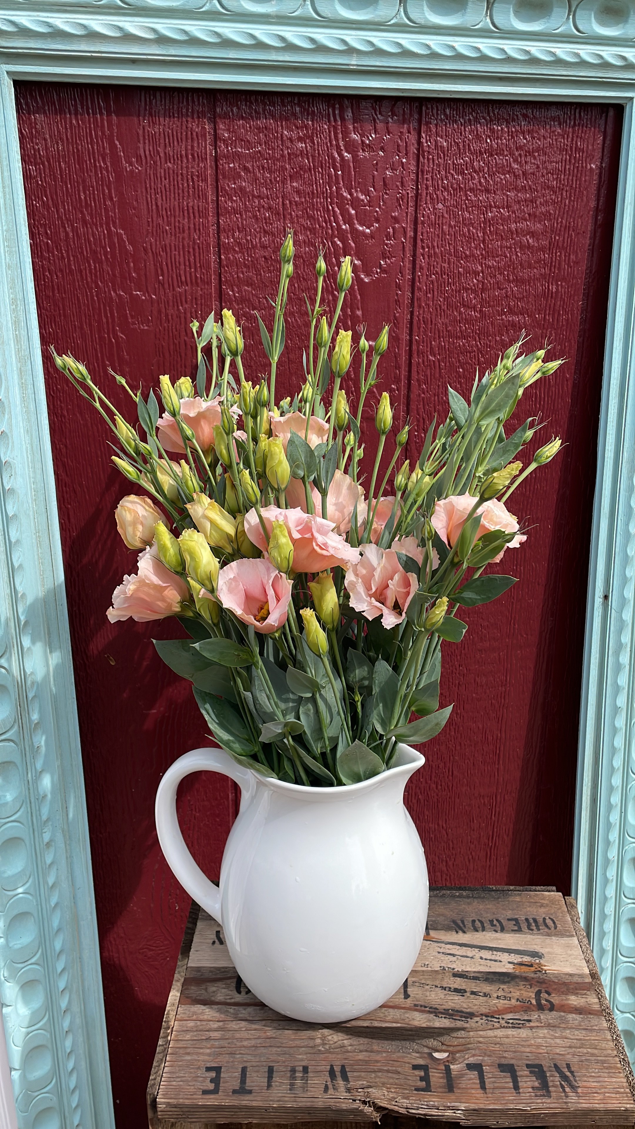 arena apricot lisianthus