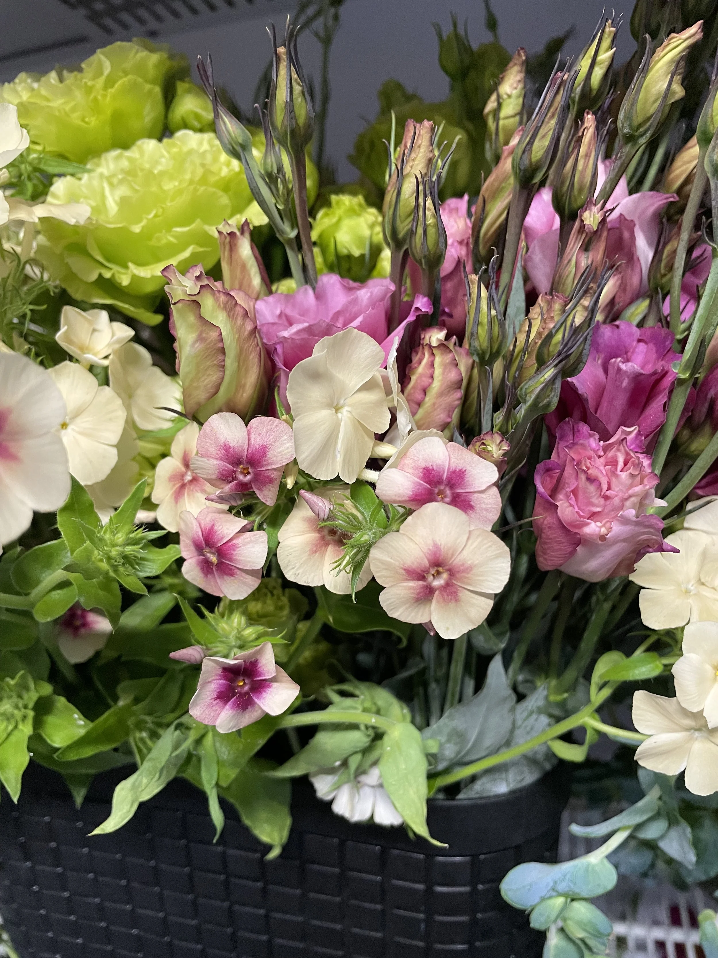 Phlox, Lisianthus