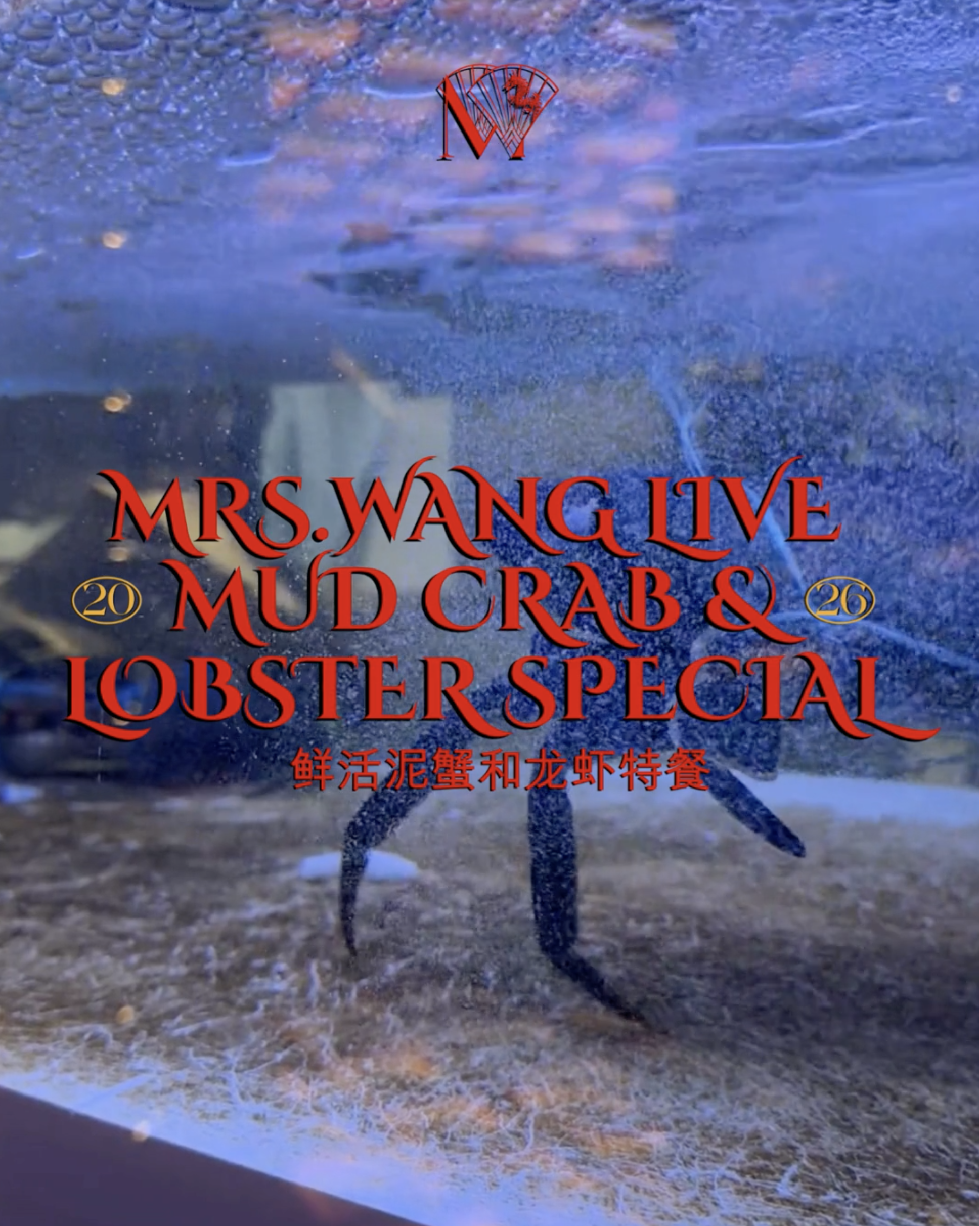 Screenshot 2026-03-02 at 11.30.20 am.png